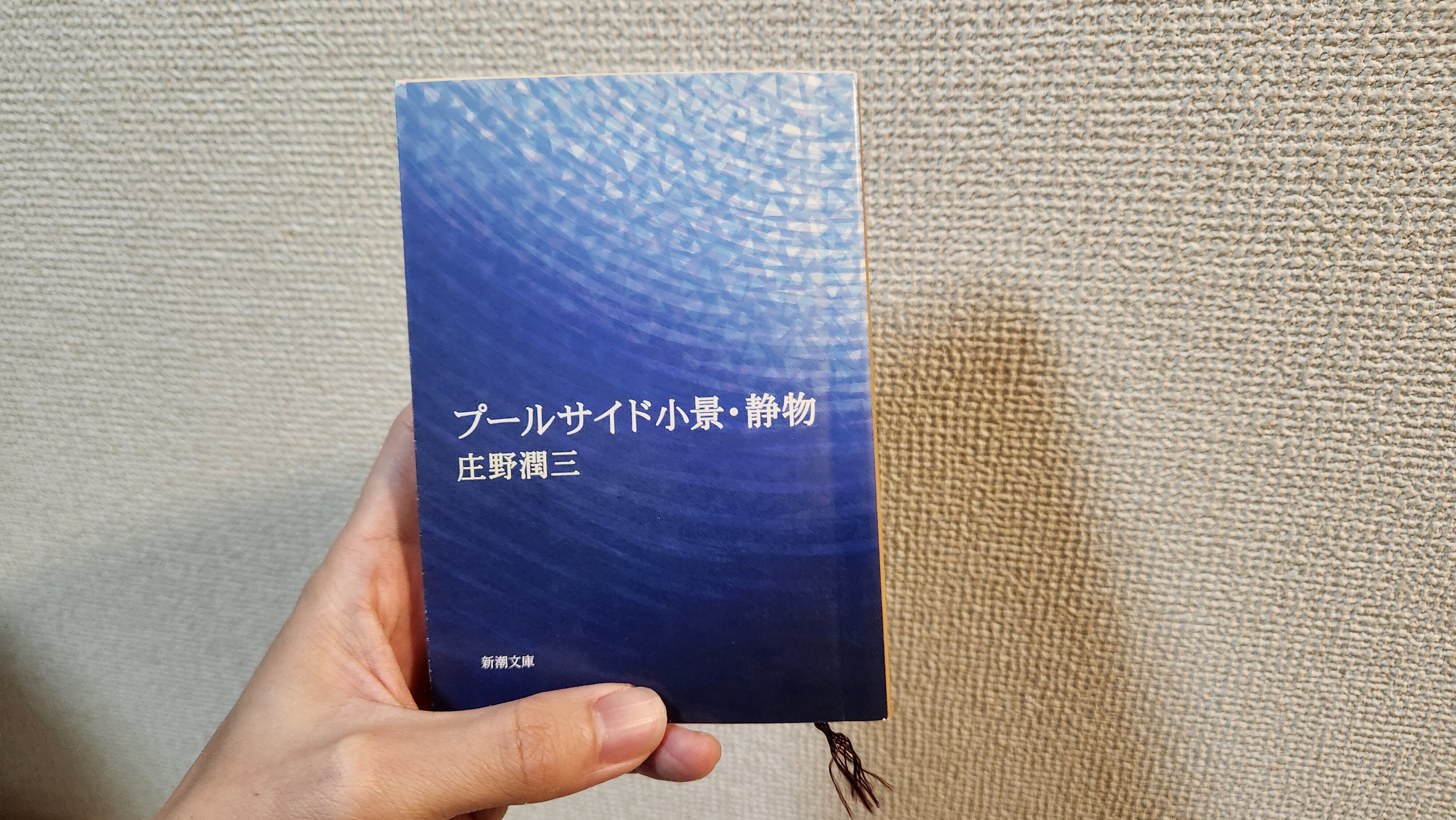 日常こそすべて──小説家・庄野潤三の魅力|ダイドウジx 日常こそすべて──小説家・庄野潤三の魅力|ダイドウジx
