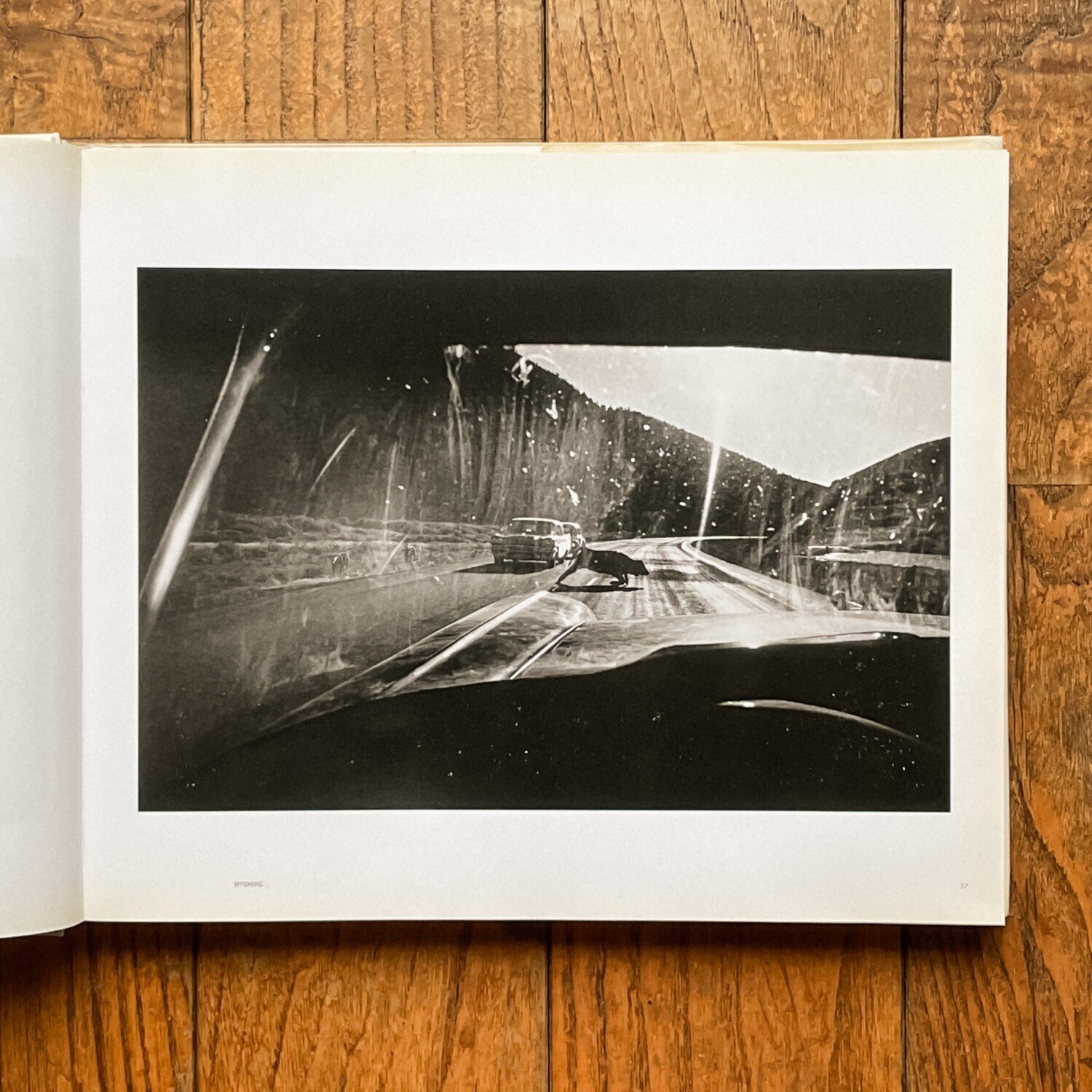 Garry Winogrand写真集:Winogrand Color|Shin Noguchi Garry Winogrand写真集:Winogrand Color|Shin Noguchi