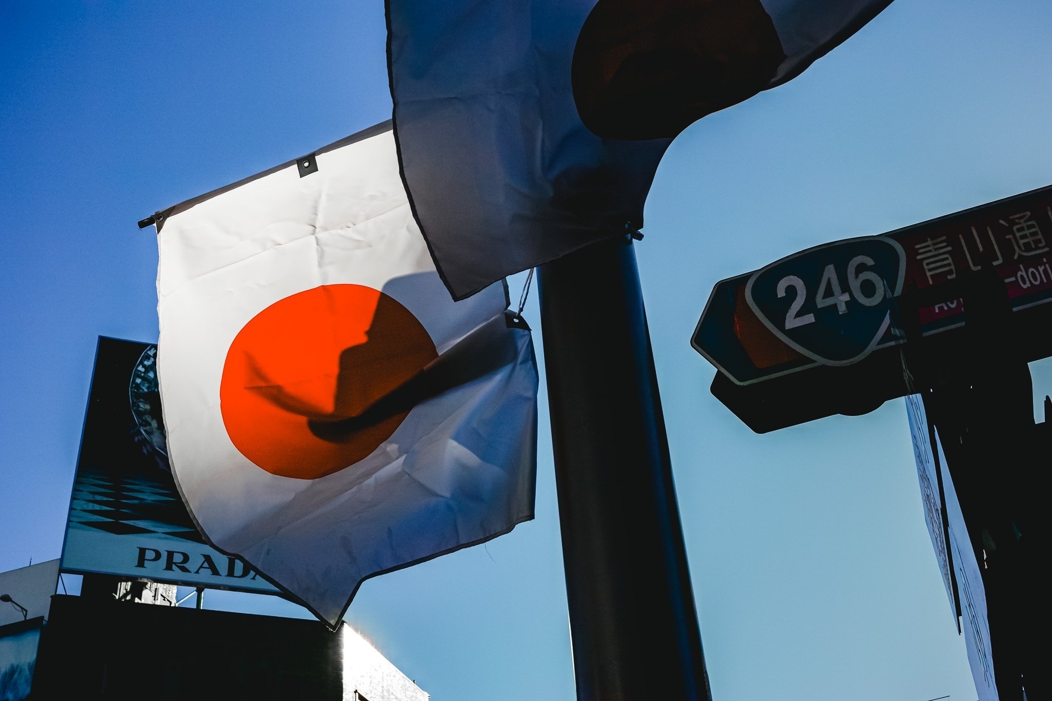 新春の青山【写真20枚】｜Nocchi(のっち)