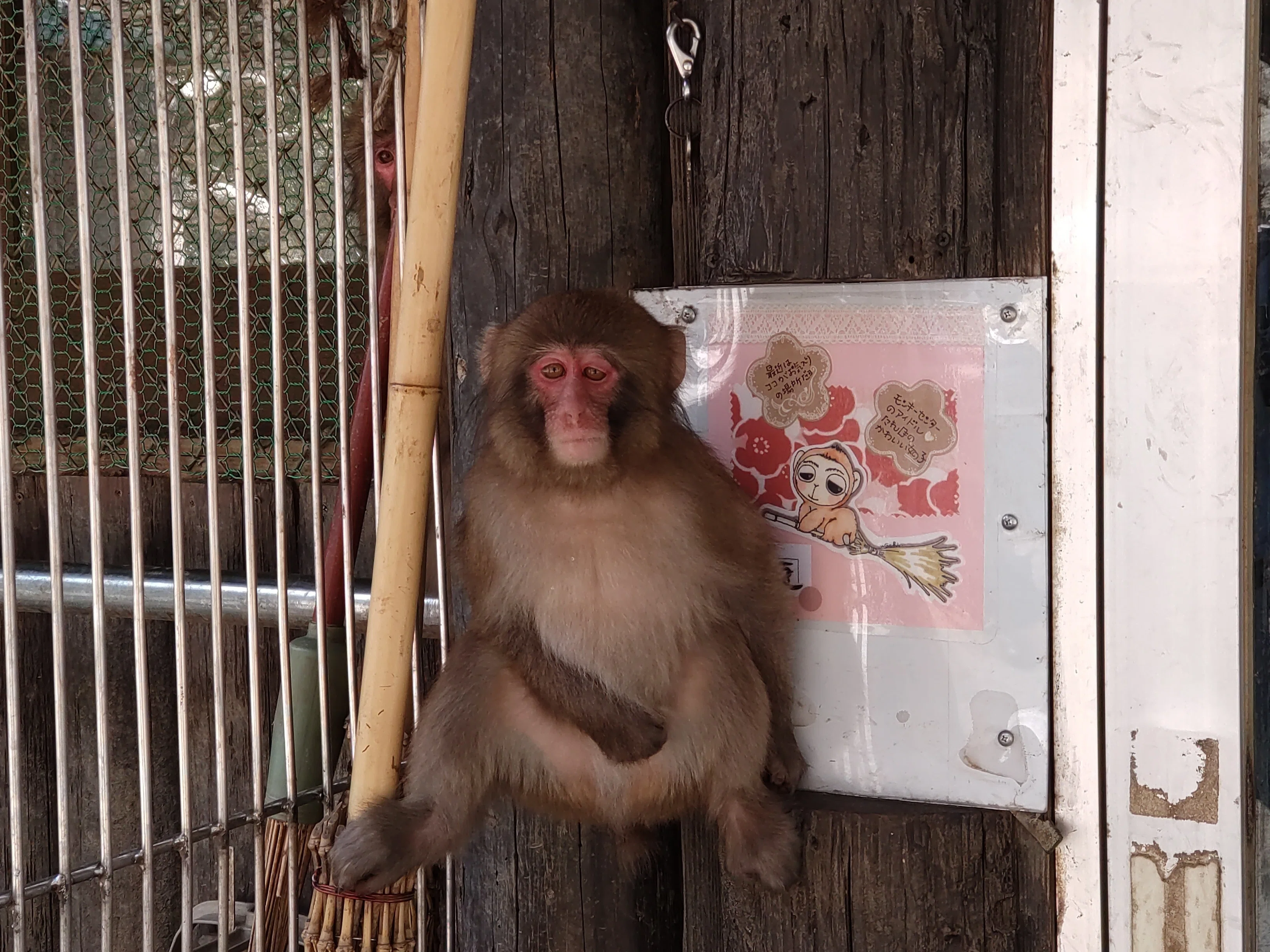 2 ドングリさん🐵｜sora.11