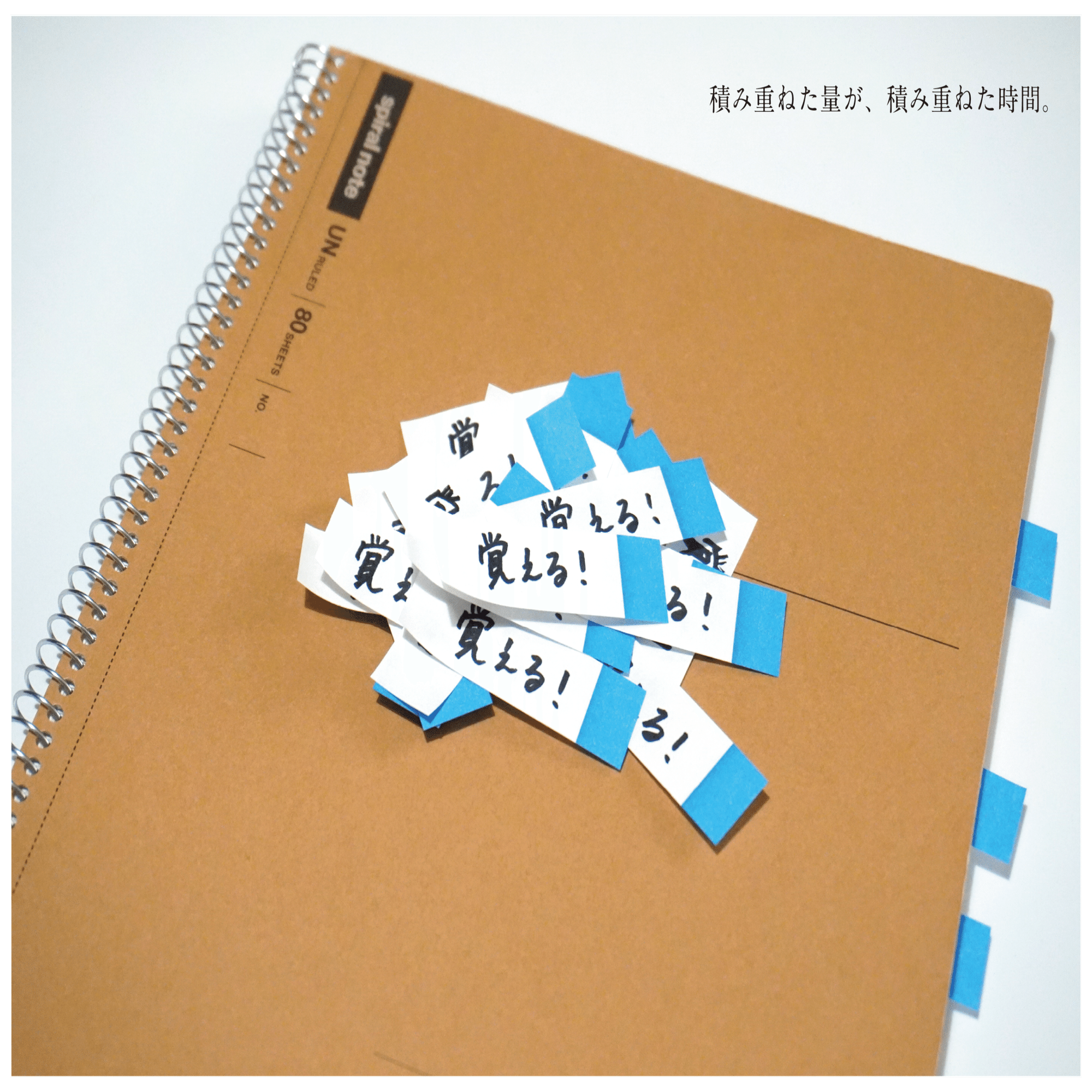 7〜9月に履修した科目｜京都芸術大学通信🌻｜いと│社会人芸大25卒