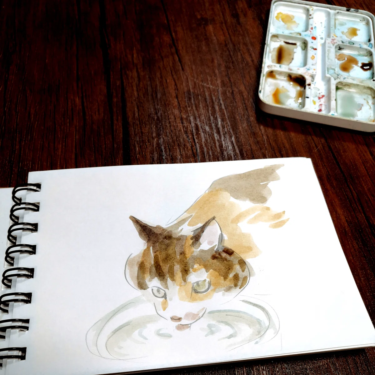 水を飲むネコの絵