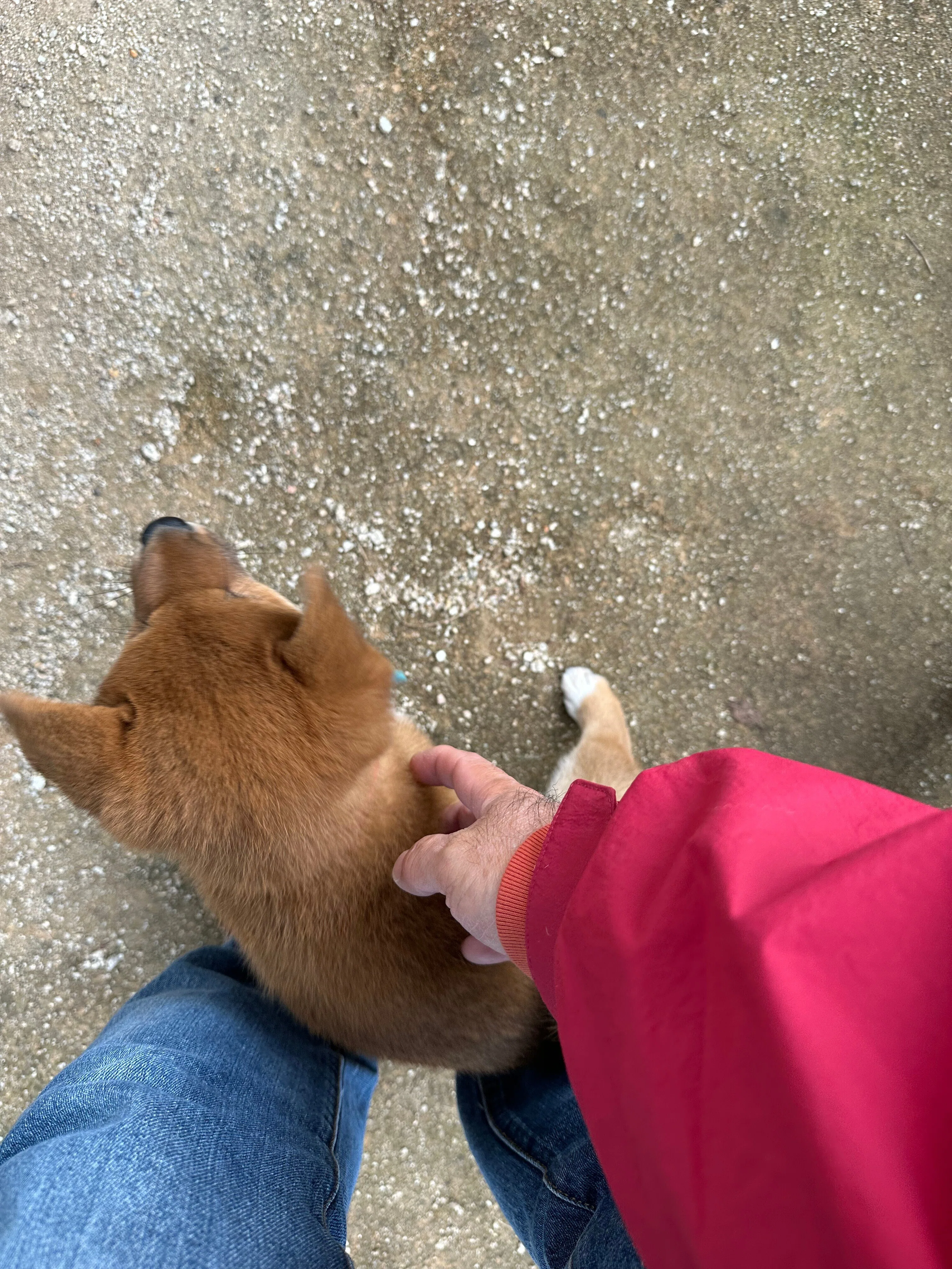 こなつチャンネル(63)コミュニケーション力（社会性）｜NicePapa 平野 尚志