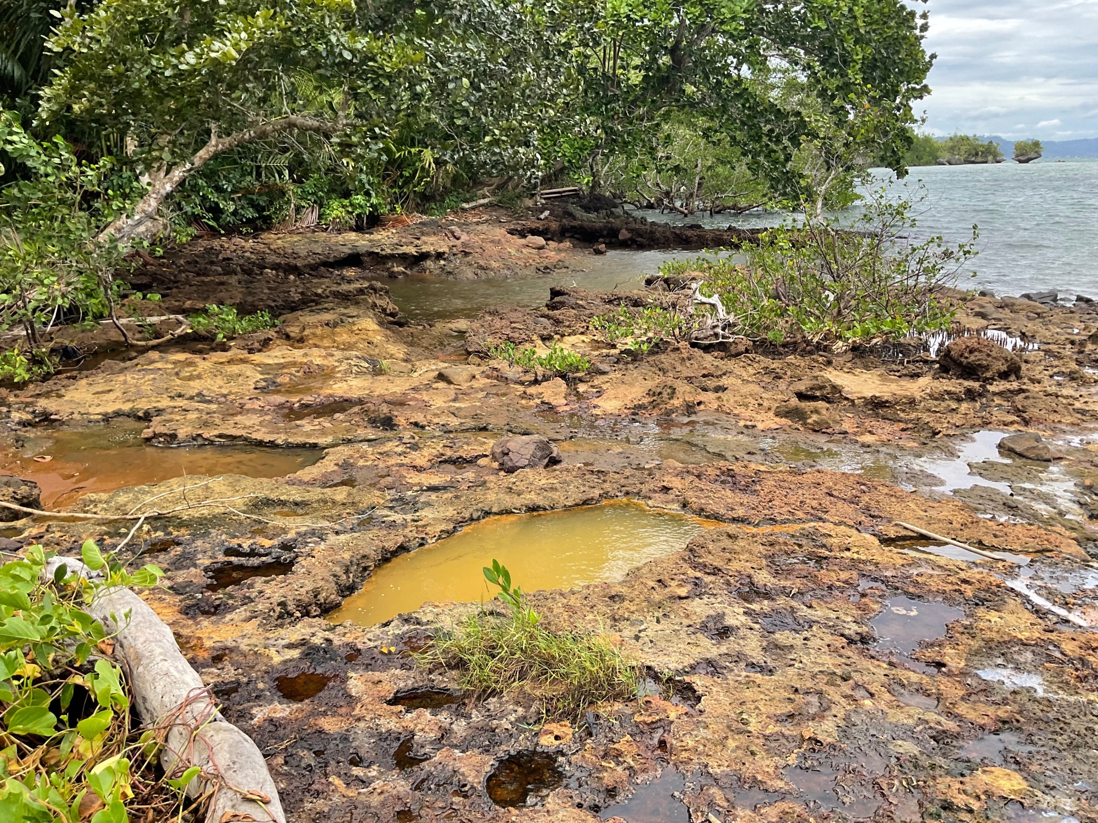 インドネシアの島めぐり37〜39日目 ヌサラウット島 離島の温泉