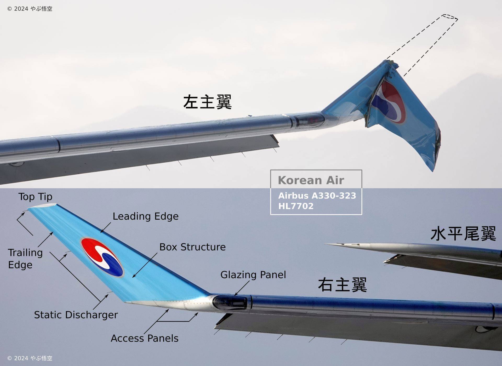 翼端が接触！｜やぶ悟空