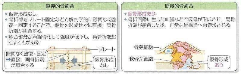 整形外科専門医試験2024年第36回問1｜Drひろひろ@整形外科専門医