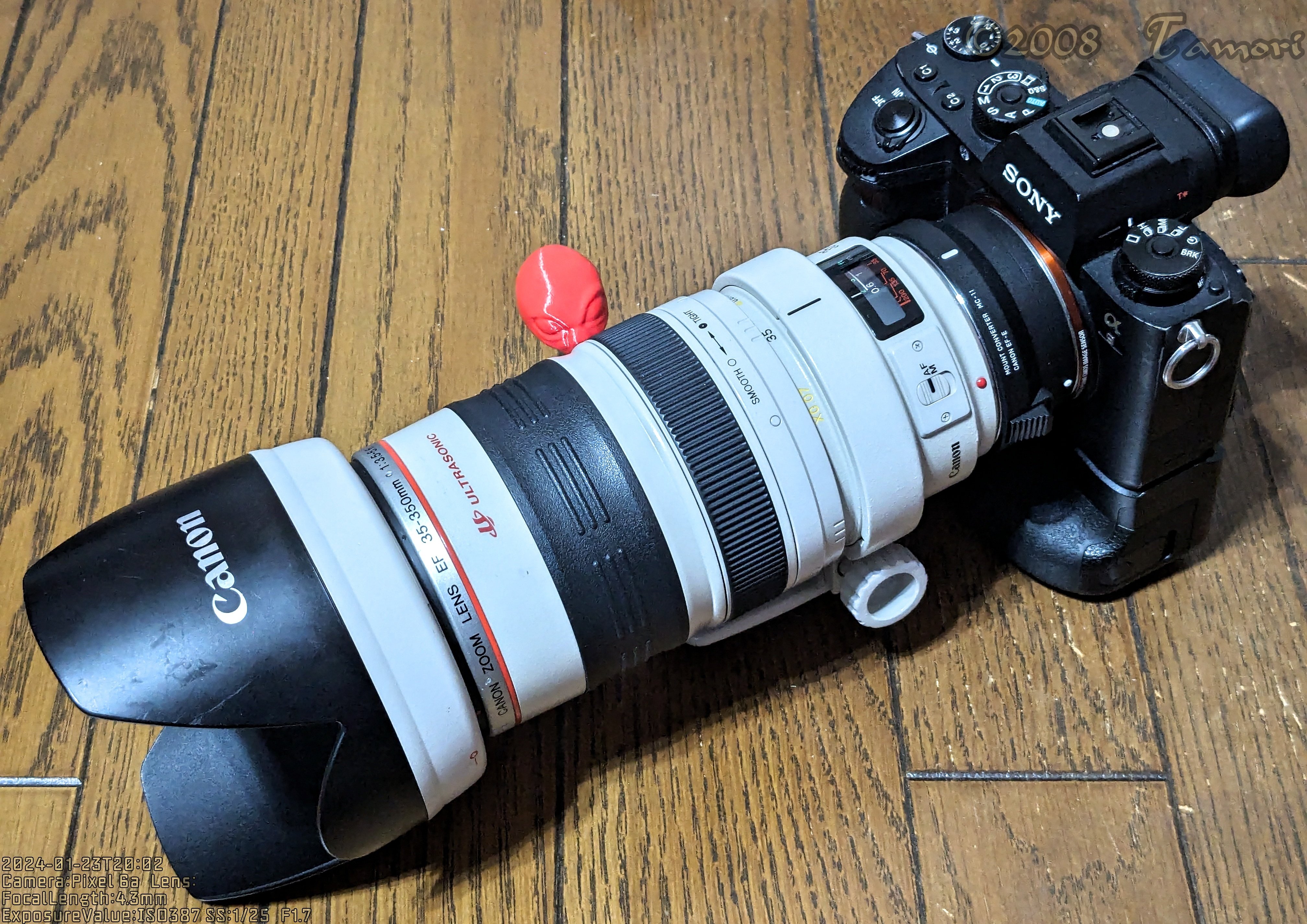 今更ながらEF35-350mm F3.5-5.6L USMを購入|t@mori 今更ながらEF35-350mm F3.5-5.6L USMを購入|t@mori