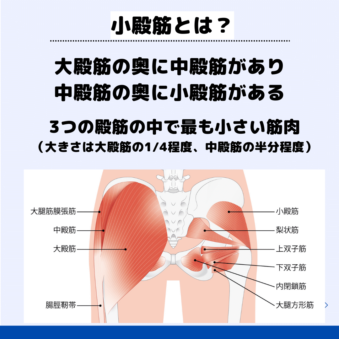 トリガーポイントと筋筋膜療法 vhs （Expert now 疼痛治療