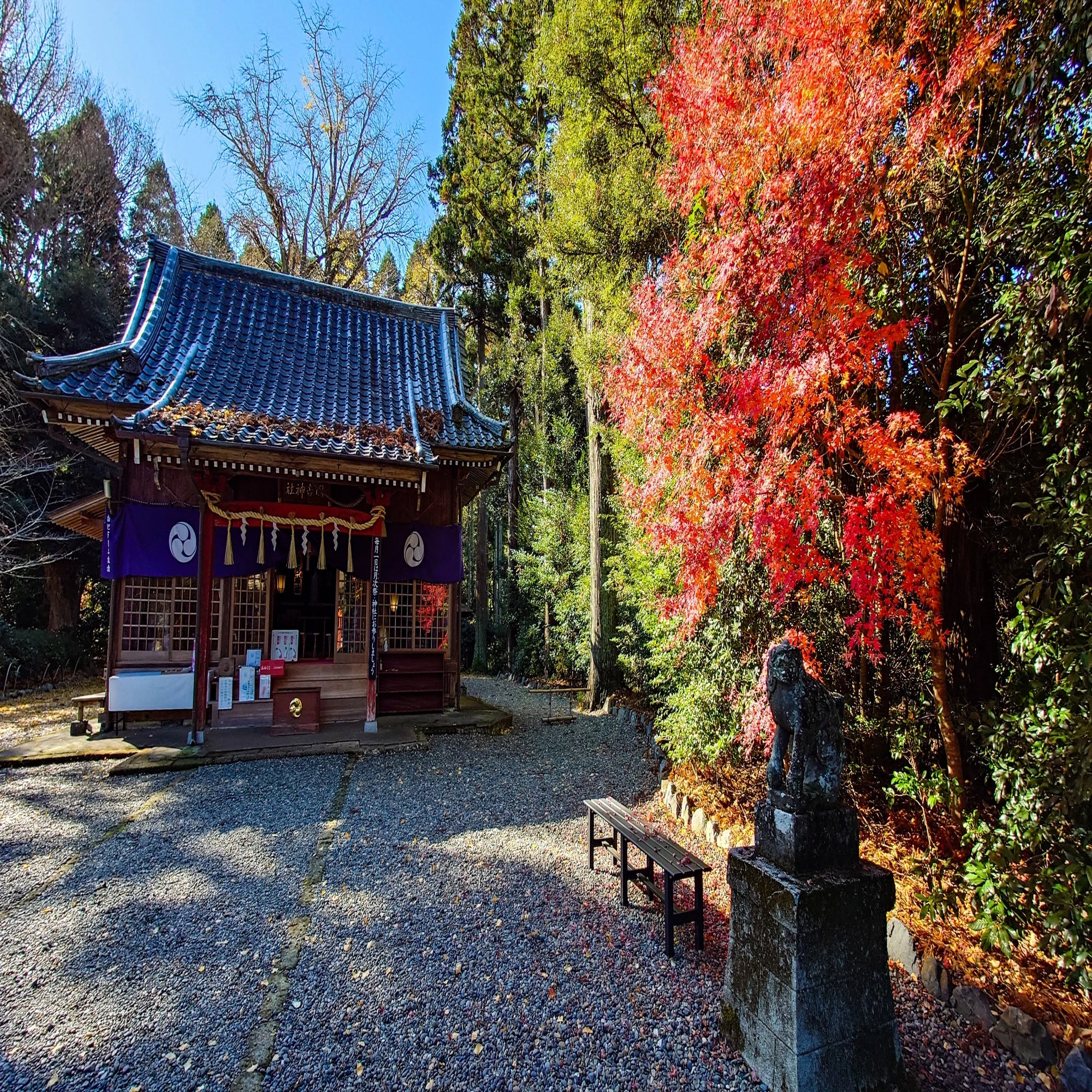国吉 神社