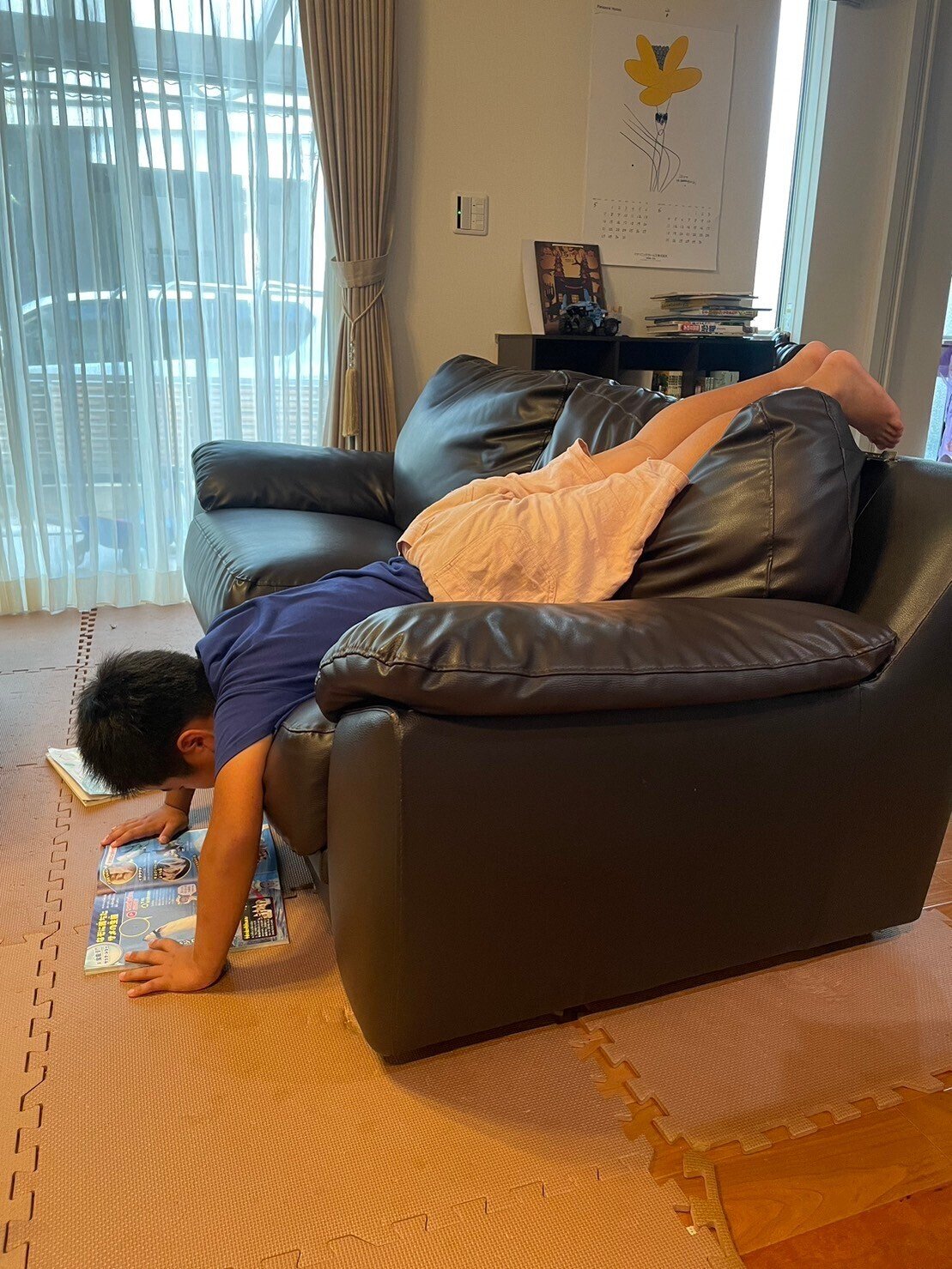 すすめても図鑑ばかりだったのに……お気に入りの本との出会いで すすめても図鑑ばかりだったのに……お気に入りの本との出会いで