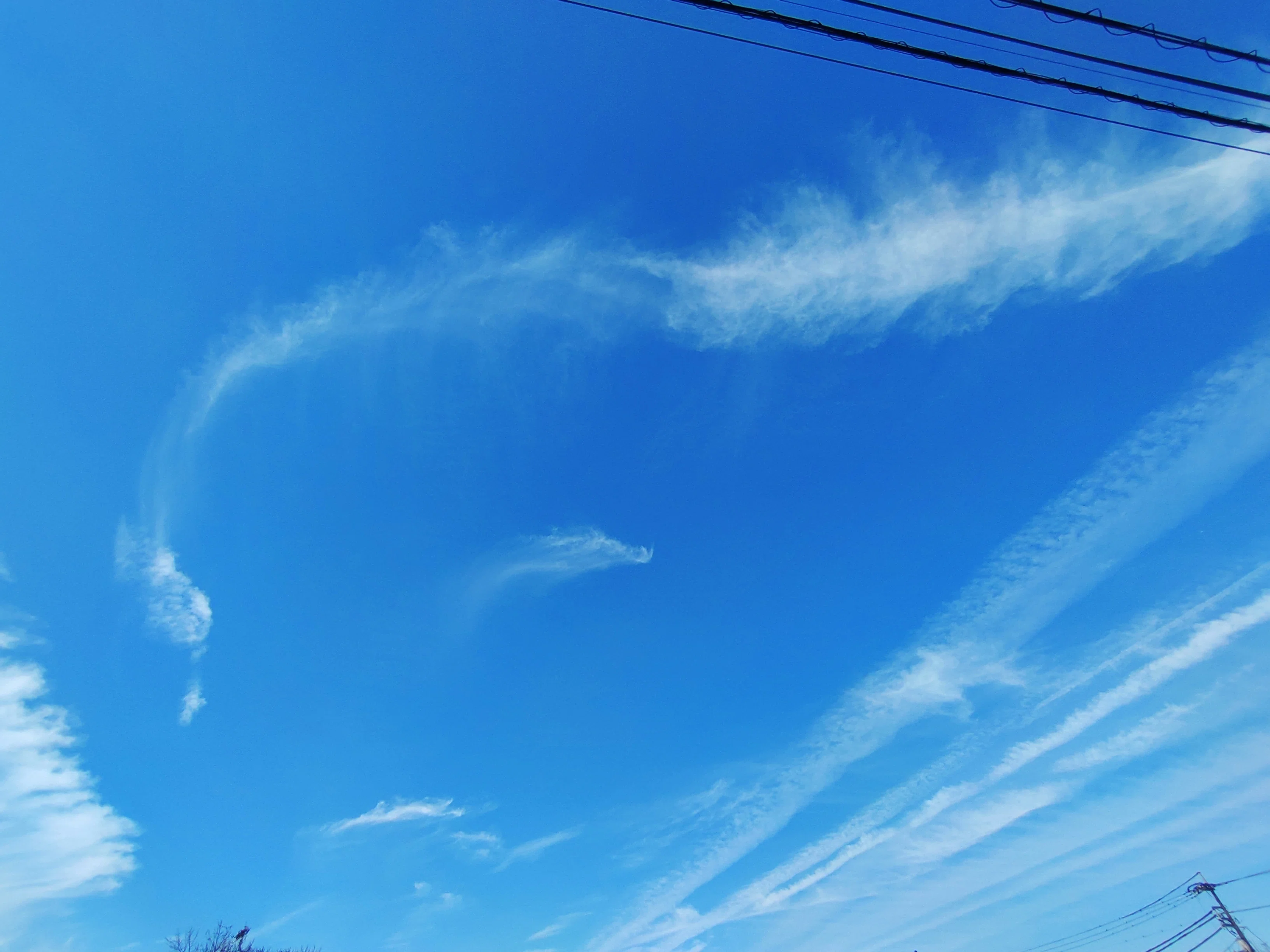 龍雲がいっぱい🐲|soufu(そうふ)