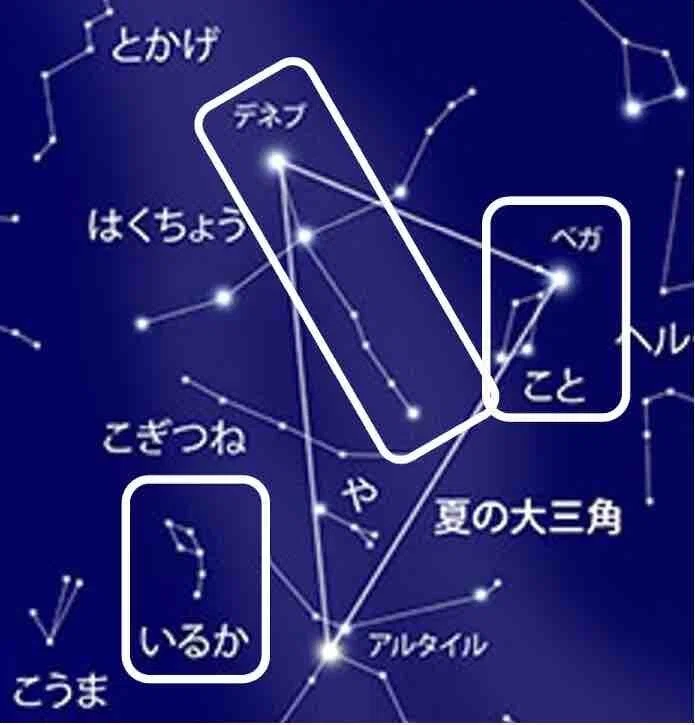 ゴッホの見た星空（9） 《ウジェーヌ・ボックの肖像》の星空｜天文学者