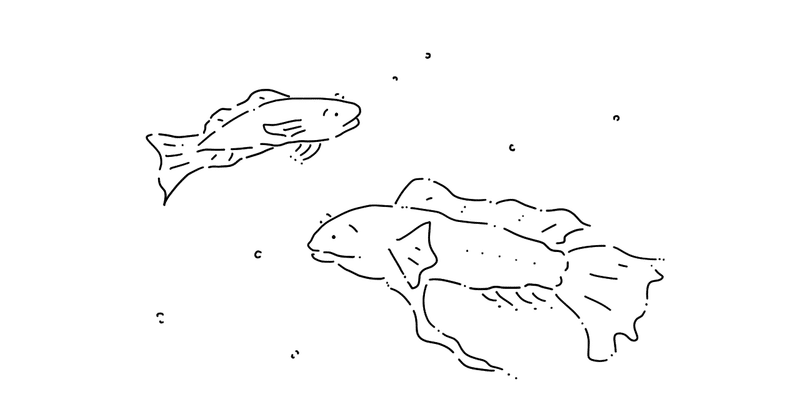 ２匹の魚のイラスト