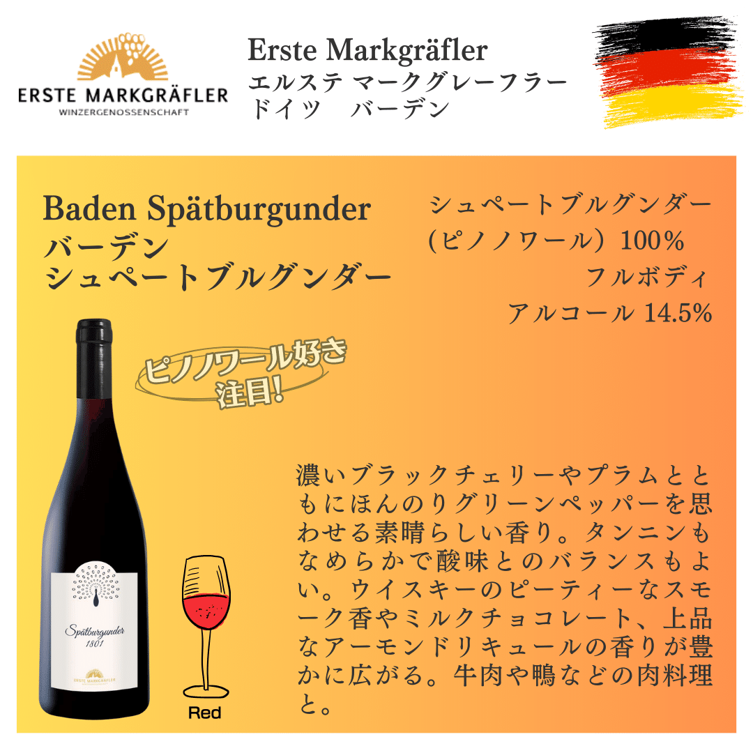 限定＆新入荷ワイン情報] Erste Markgräfler【ドイツ復活