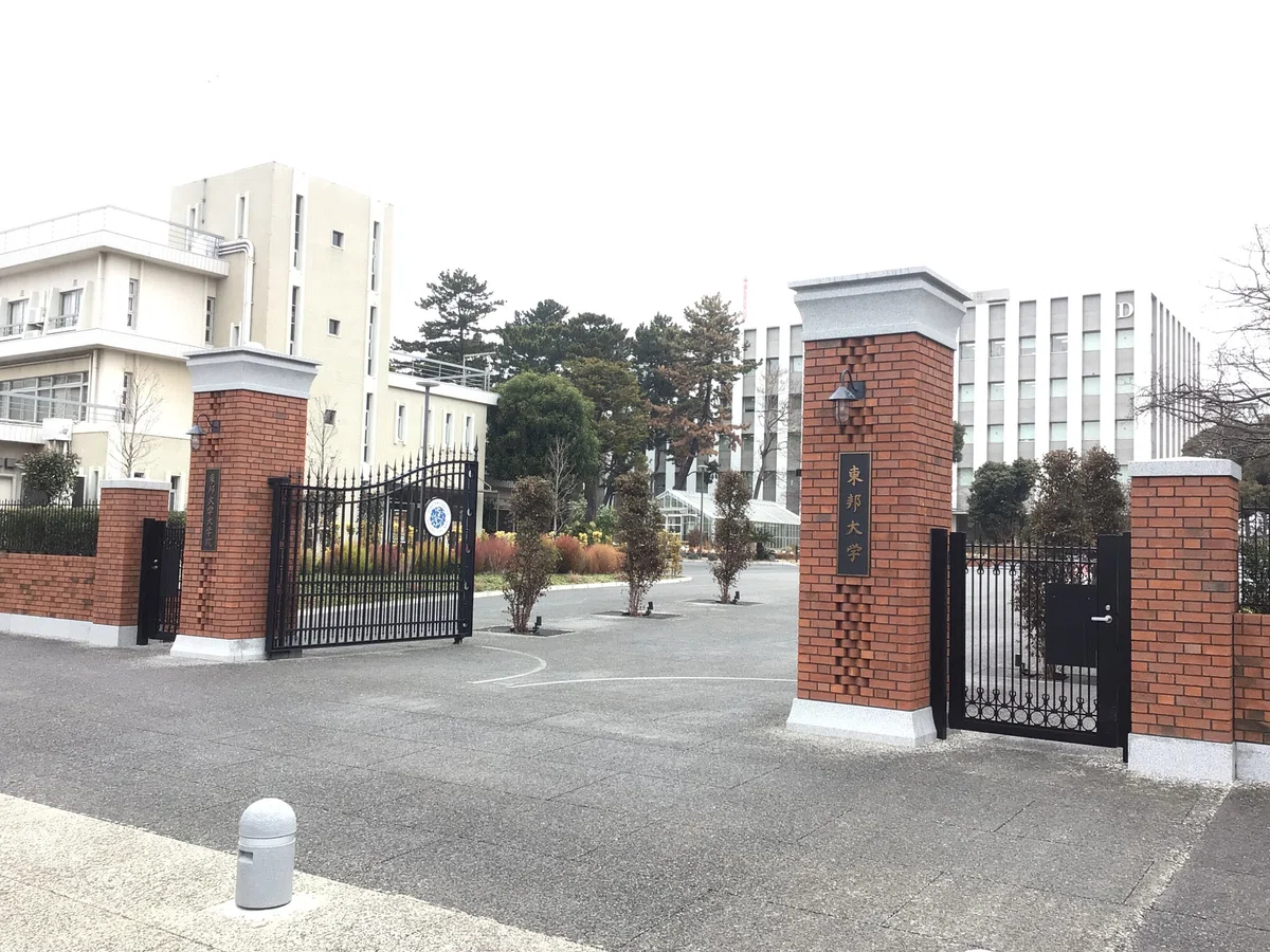 Toho University Graduate School | Development of Internal Tools and ...