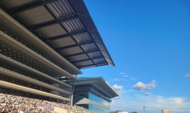 東京競馬場