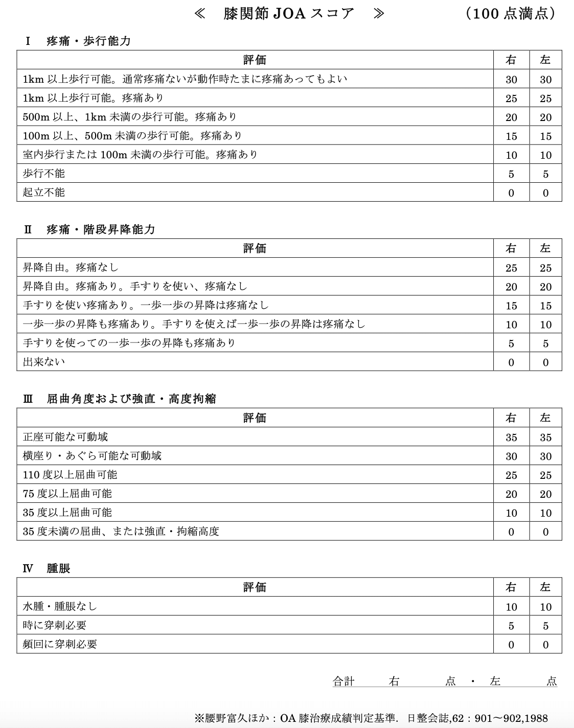 理学療法評価学 障害別・関節別評価のポイントと実際 理学療法評価学: 障害別・関節別評価のポイントと実際 | 市橋