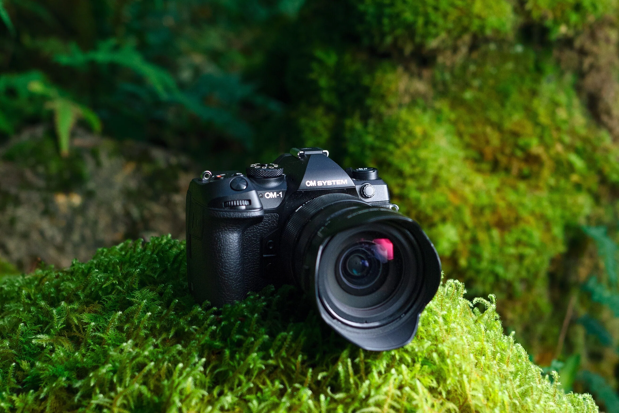 ★完動品＊美品＊初期保証★OM-1 ★グリーンリザード外装★作例必見！ OM-1 Mark II + 100-400mm II』で初心者が野鳥撮影に挑む！【実写
