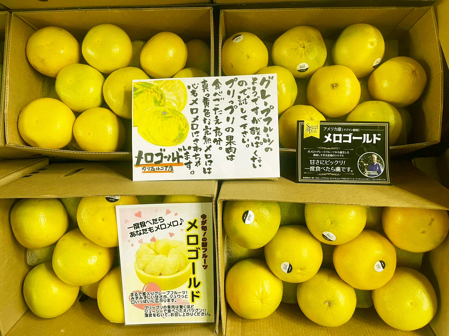 メロ ゴールド と は