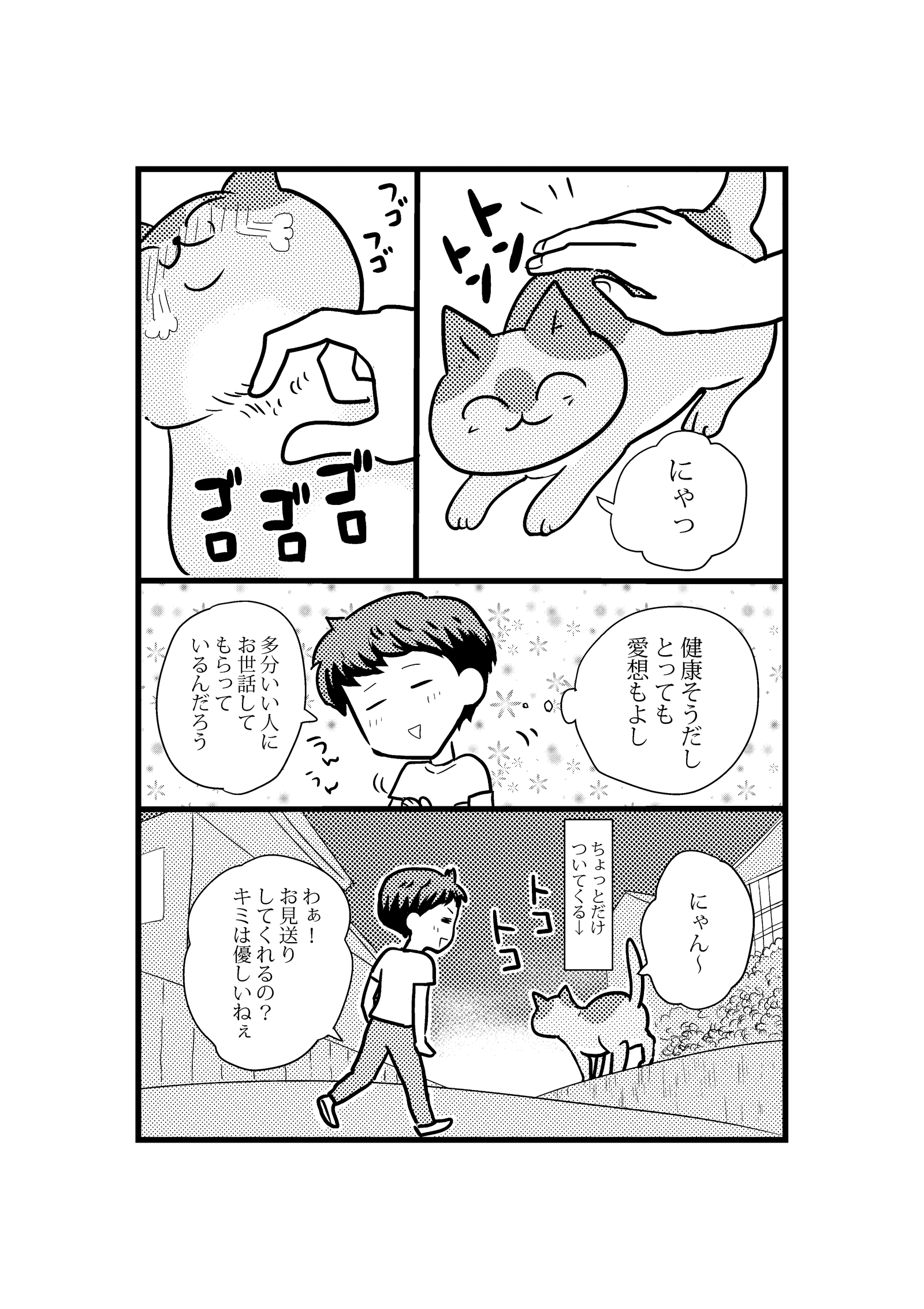 画像8