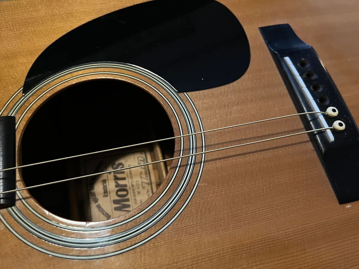 アコギ調整-Morris W-20-｜NAKADA Shugo