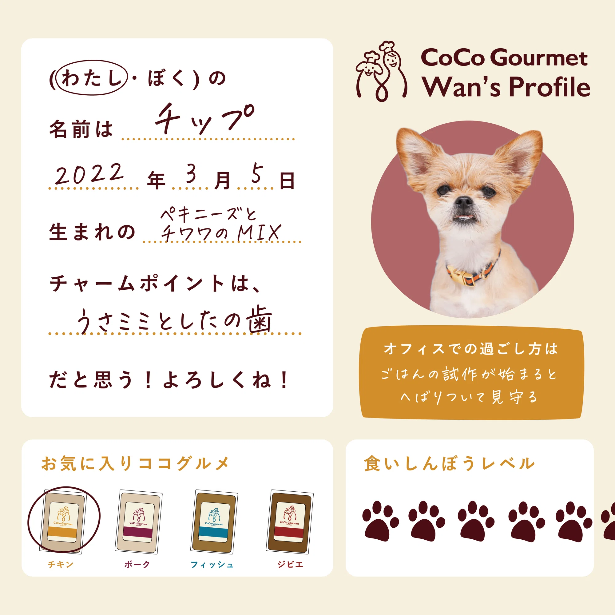 懐かしのプロフィール帳を社員犬で作ったらこうなりました｜愛犬愛猫の