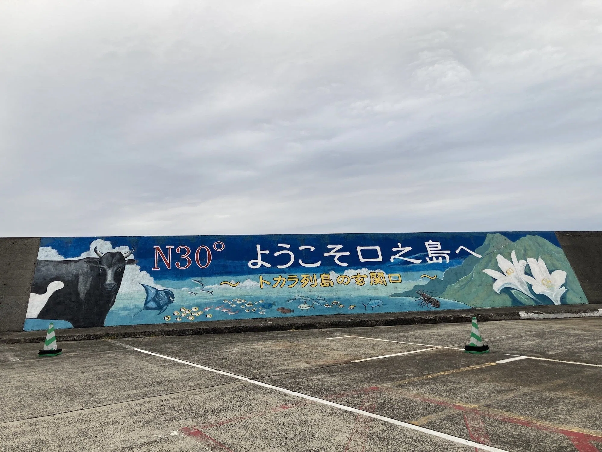 西田】口之島ワーケーション。 リトケイ乗組員のきょうも島日和｜今日 
