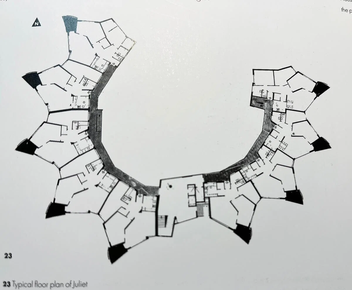 Hans Scharoun/Peter Blundell Jones 建築の書 …