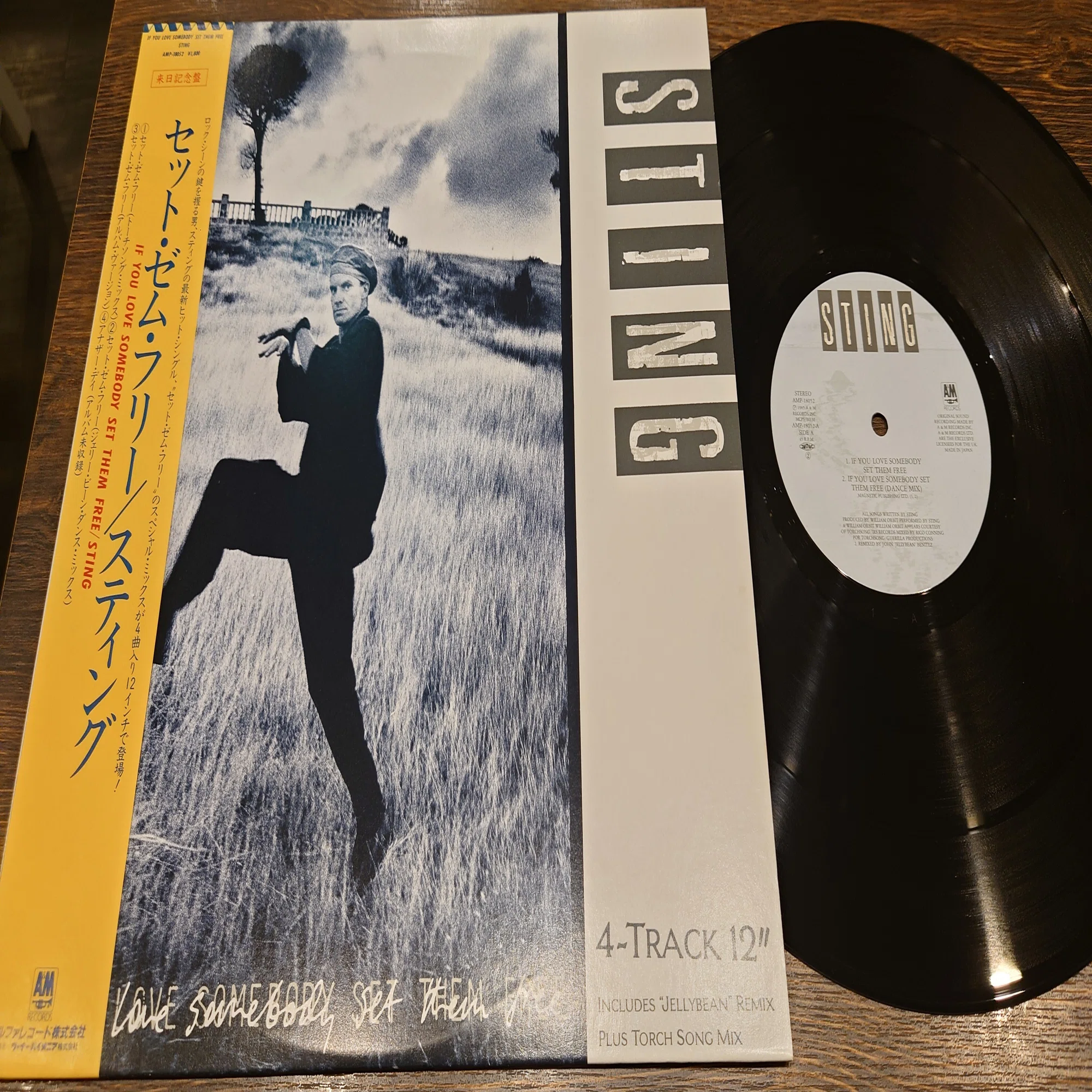 7インチ盤専門店雑記450「12インチ・シングルの愉悦：Sting 