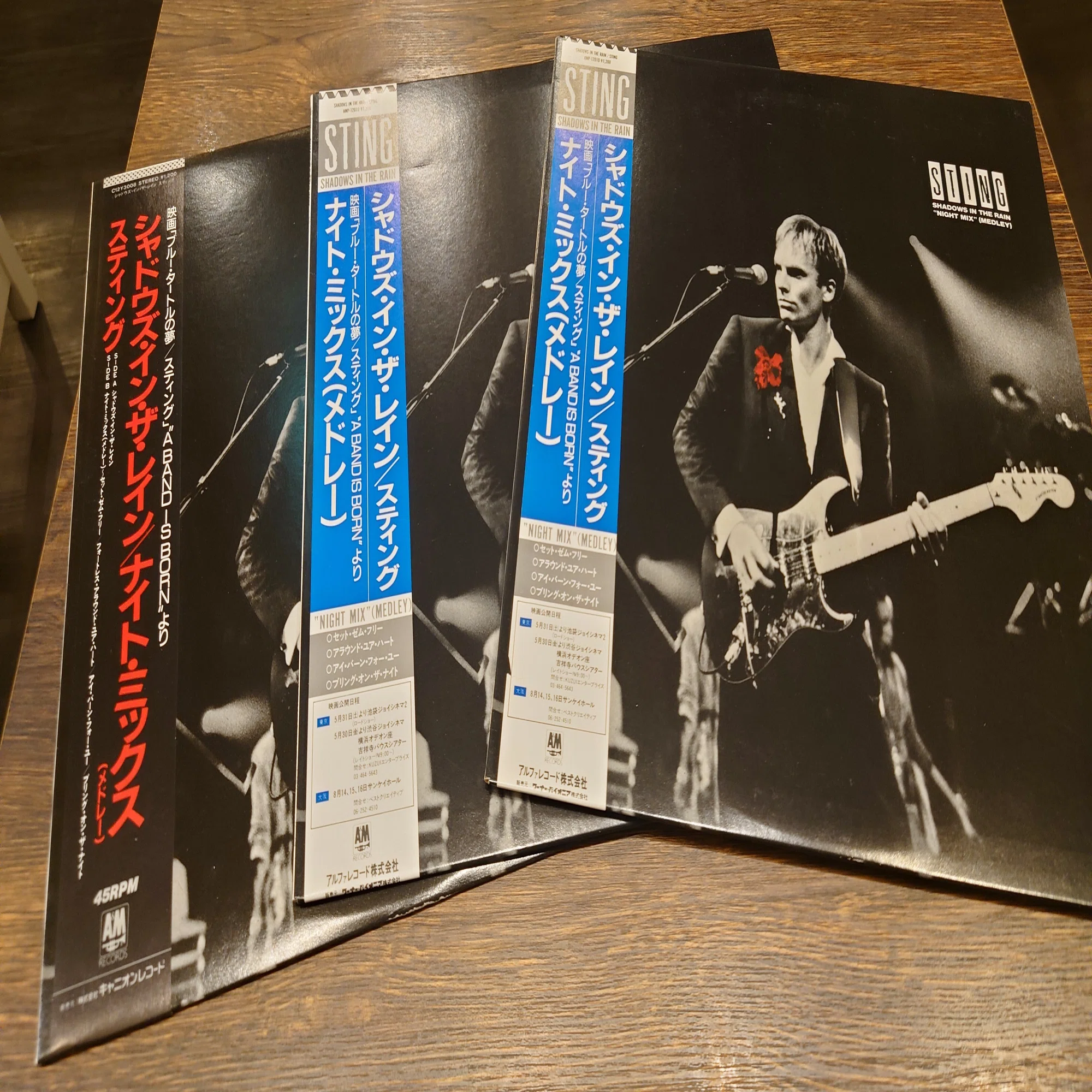 7インチ盤専門店雑記450「12インチ・シングルの愉悦：Sting 