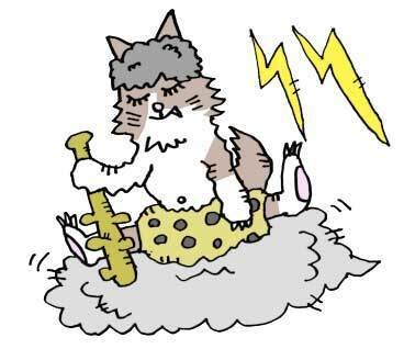 カミナリ|TAMAJIRO