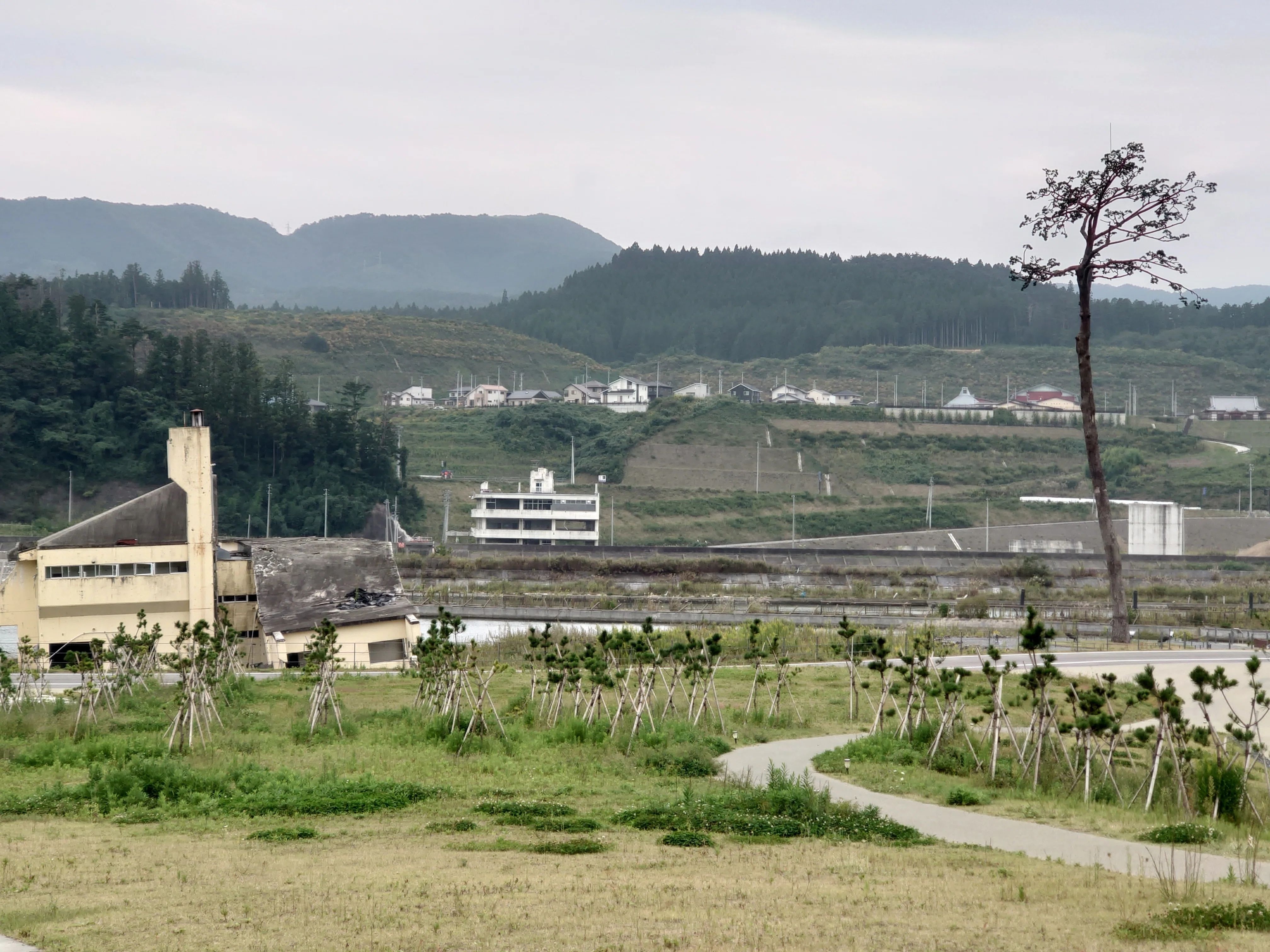 F8三陸海岸 1706272643014-gycxUKQlx5.jpg