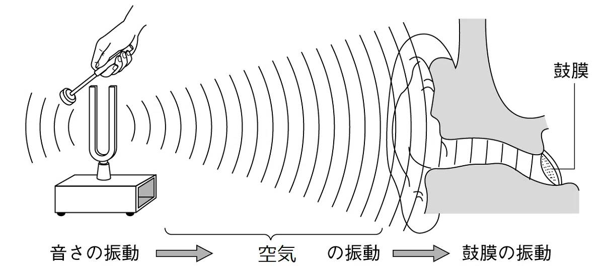 超音波の周波数と生体組織への到達深度の関係を示す図