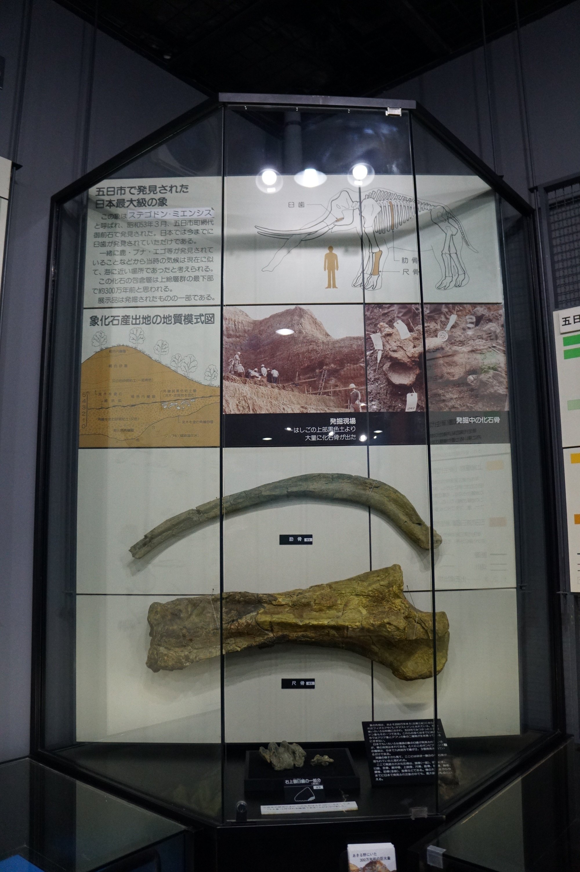古生物飼育小説Lv100 第八十九話をサイトに掲載しました｜始祖鳥