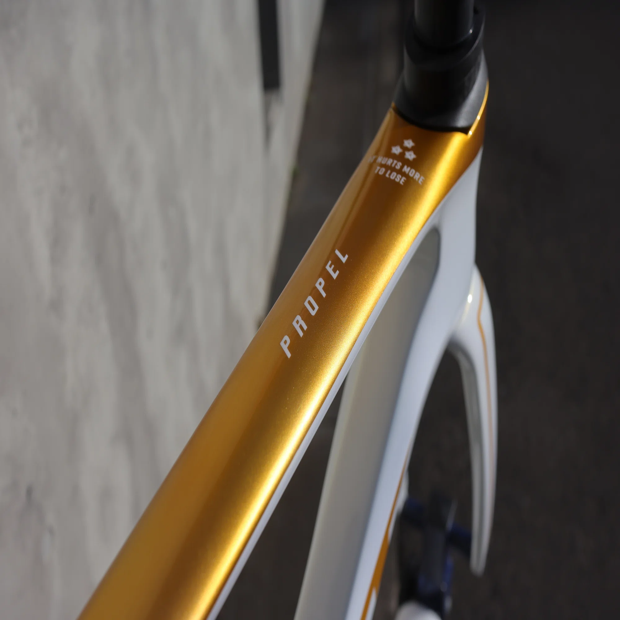 国内限定20本』GIANT PROPEL ADVANCED SL GOLD LimitedEdition Sサイズ 