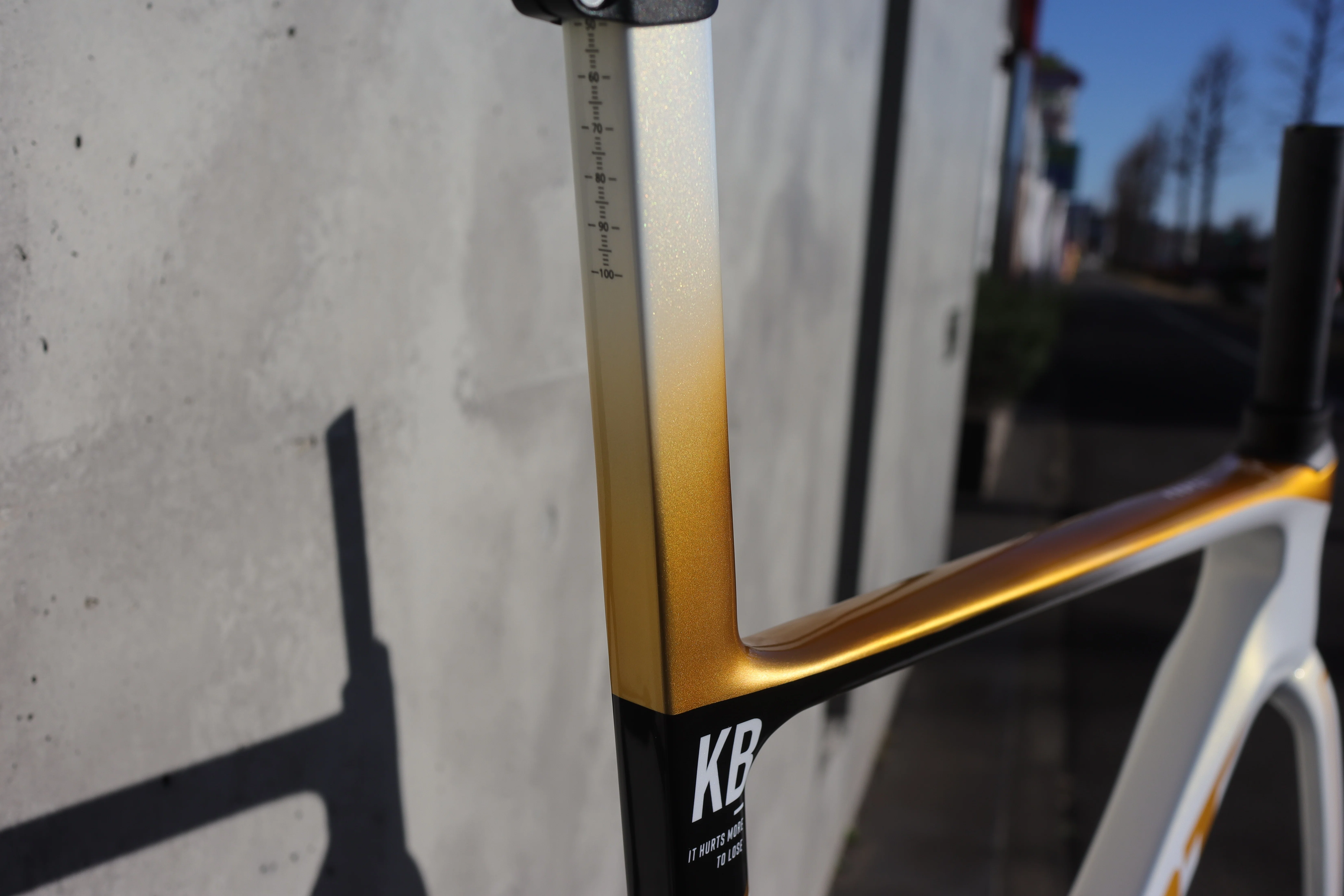 国内限定20本』GIANT PROPEL ADVANCED SL GOLD LimitedEdition Sサイズ