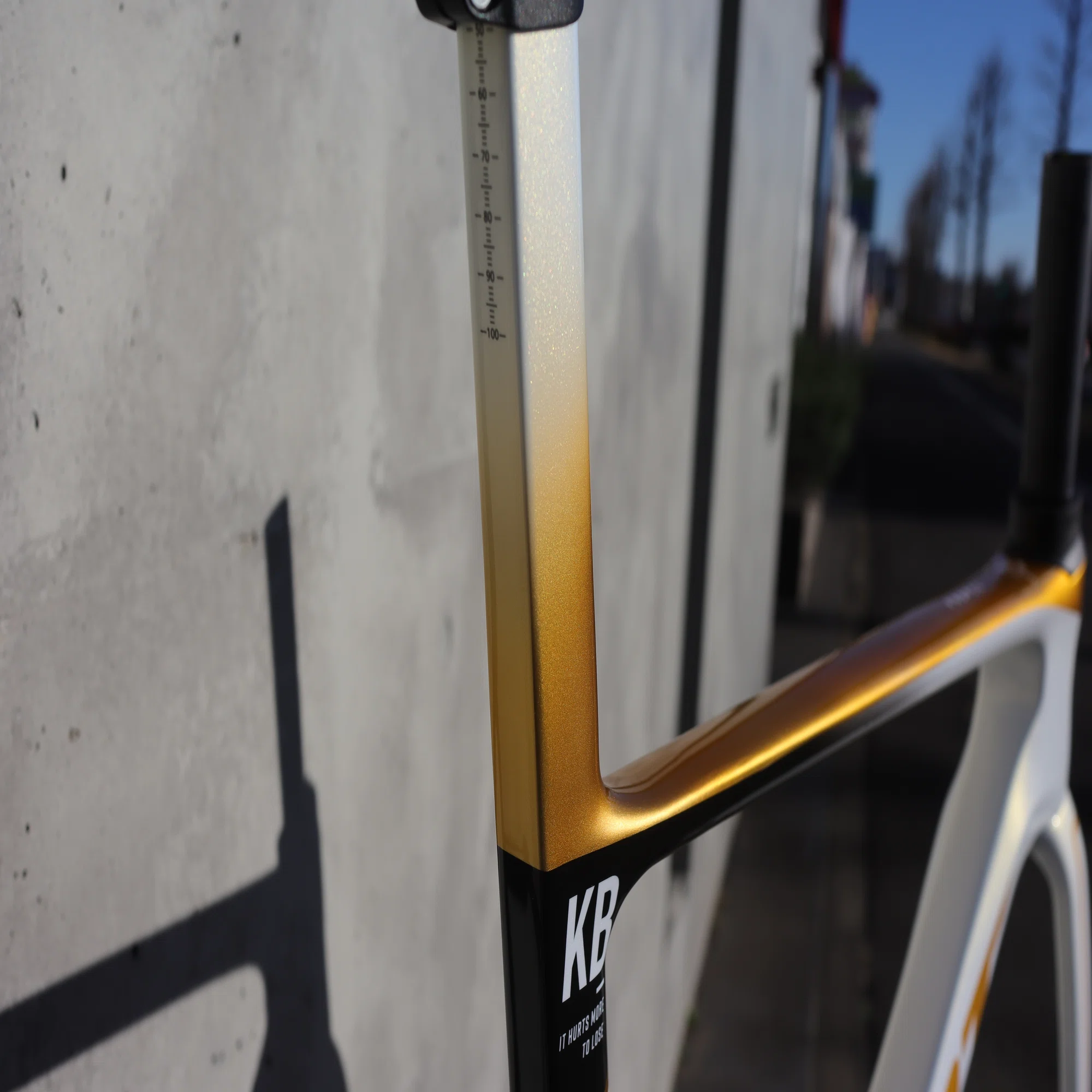国内限定20本』GIANT PROPEL ADVANCED SL GOLD LimitedEdition Sサイズ 