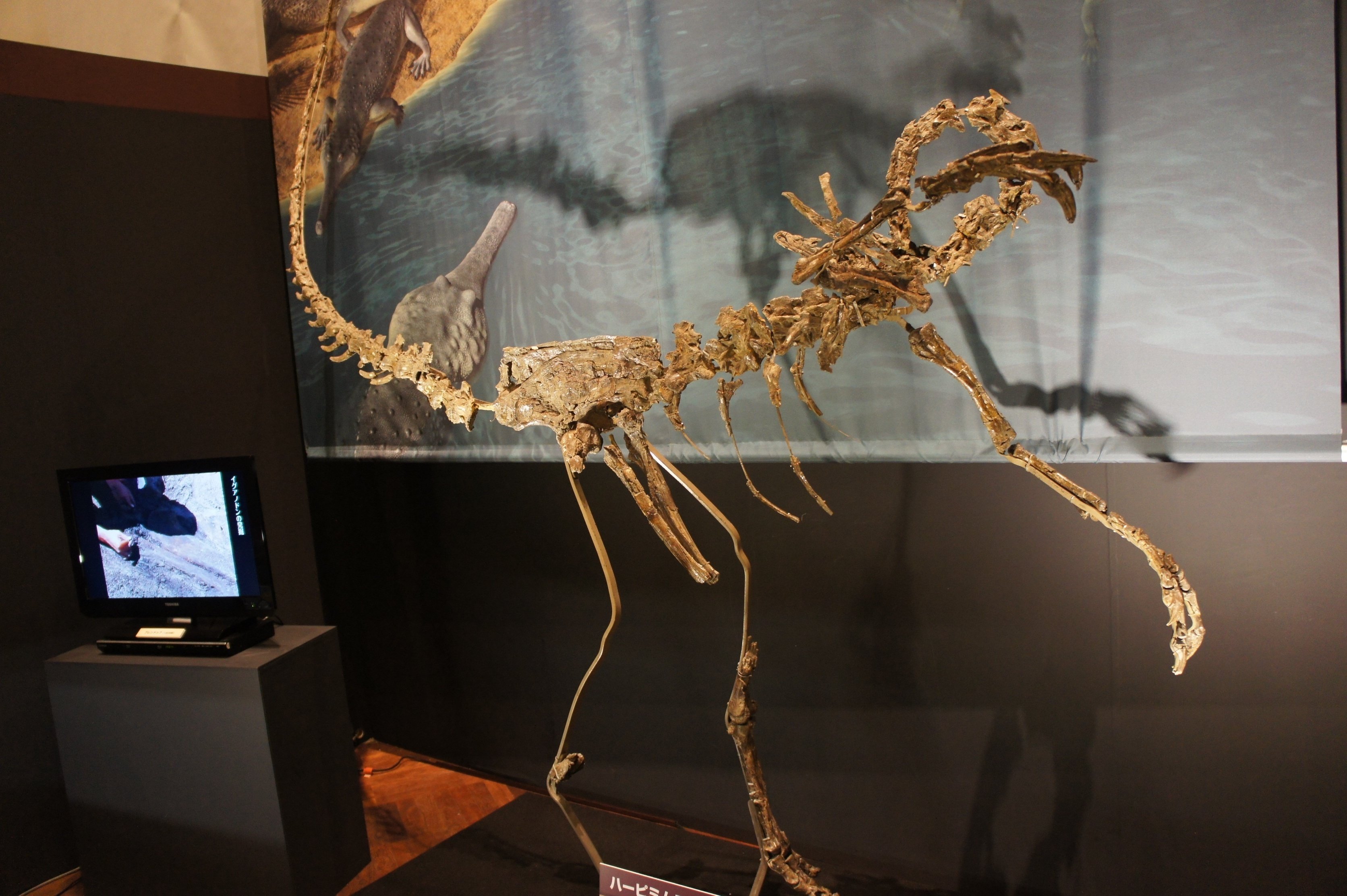 植物怪異伝説新考 日野巌 五百を超す古今の文献より植物