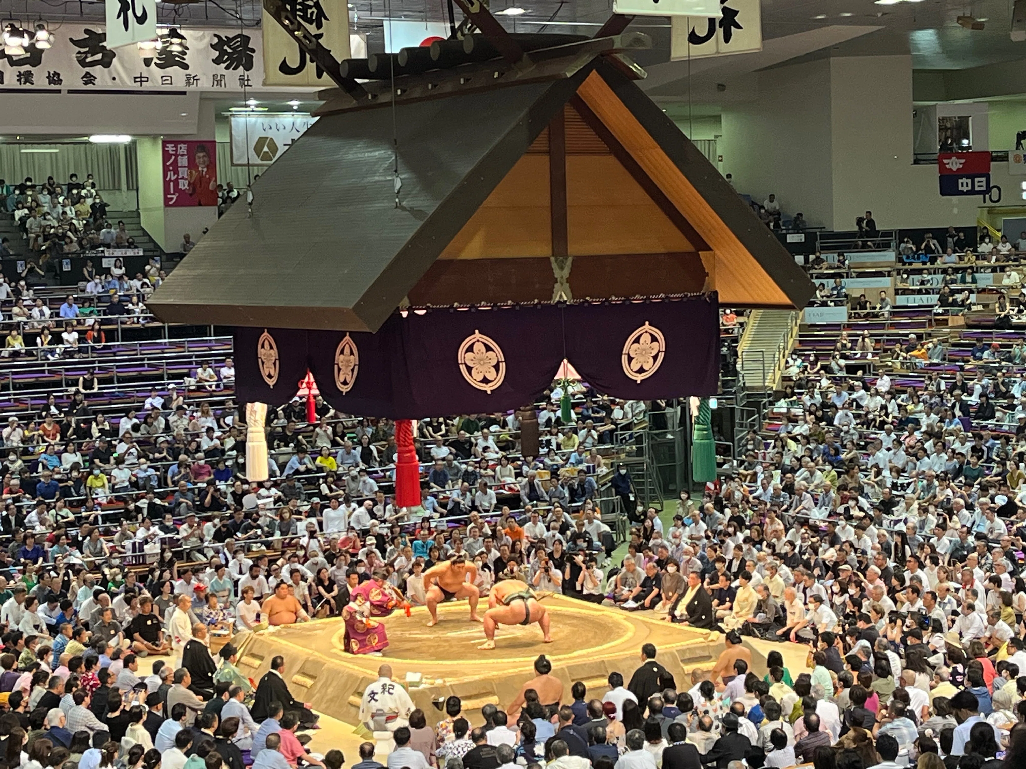 大相撲 名古屋場所 4日目（2023年7月12 (水曜)正面タマリ席 2