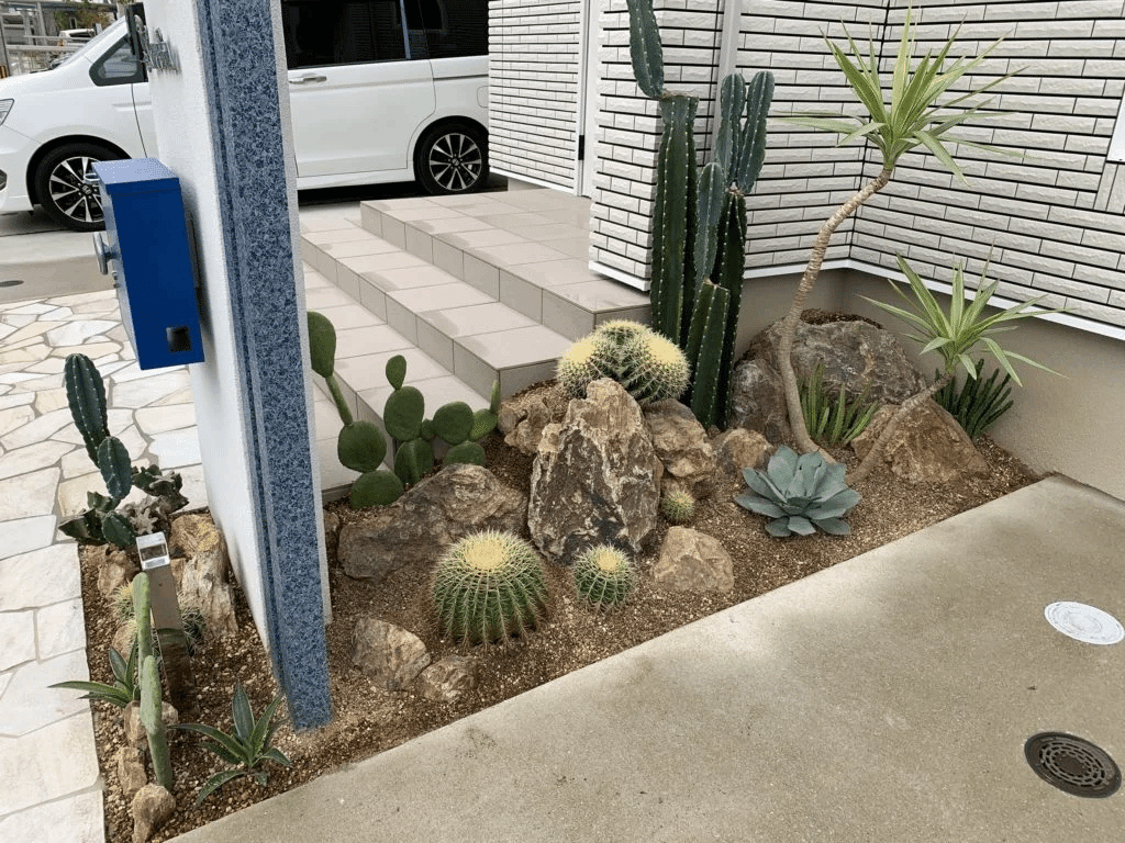 ロックガーデン ドライガーデン チャメロプス ロックガーデン ドライ