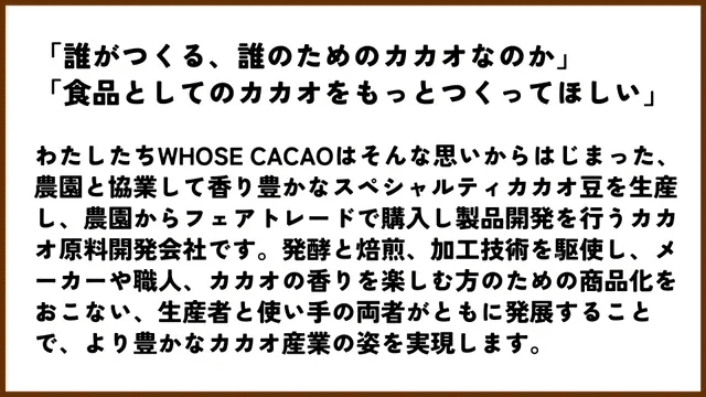 CLOSER FINEMIX for CACAO』への各界プロフェッショナルからの評価
