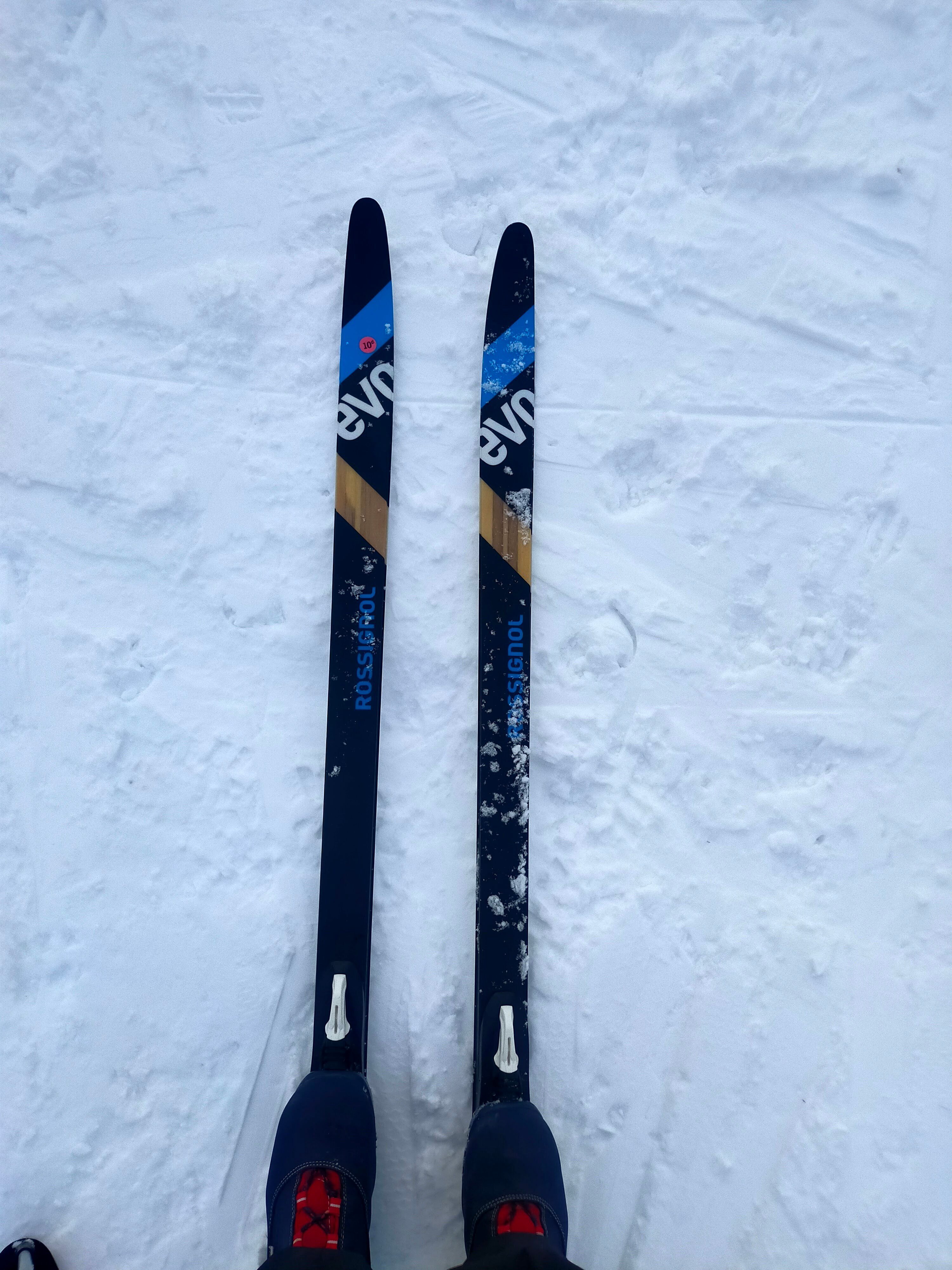 ELAN クロスカントリースキー板 elan エラン スキー板 2026 ELAN ACE SLX FUSION X + EMX 12.0
