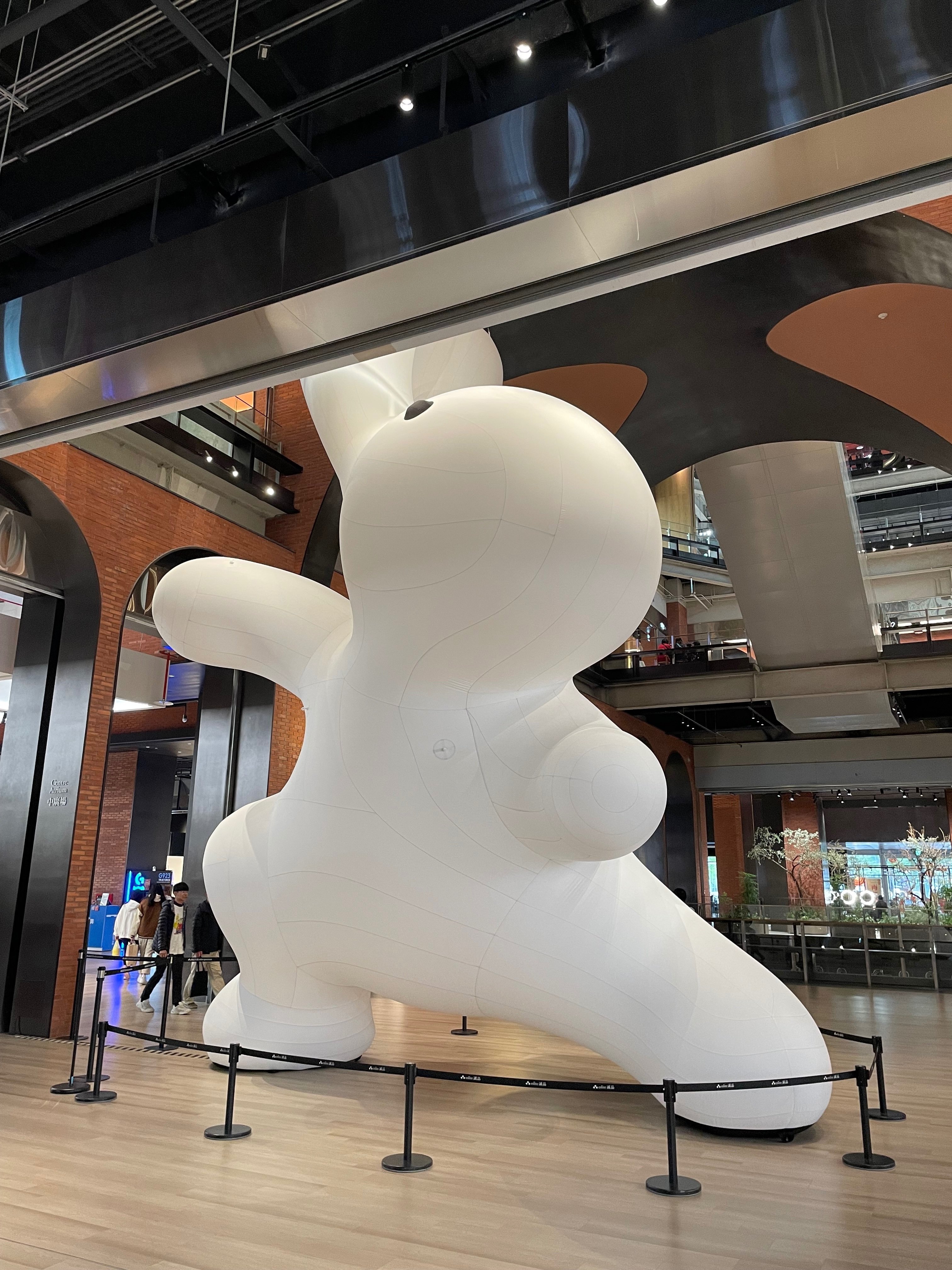 24/01/28 うさぎ 野生の闘拳｜ヤスミツ