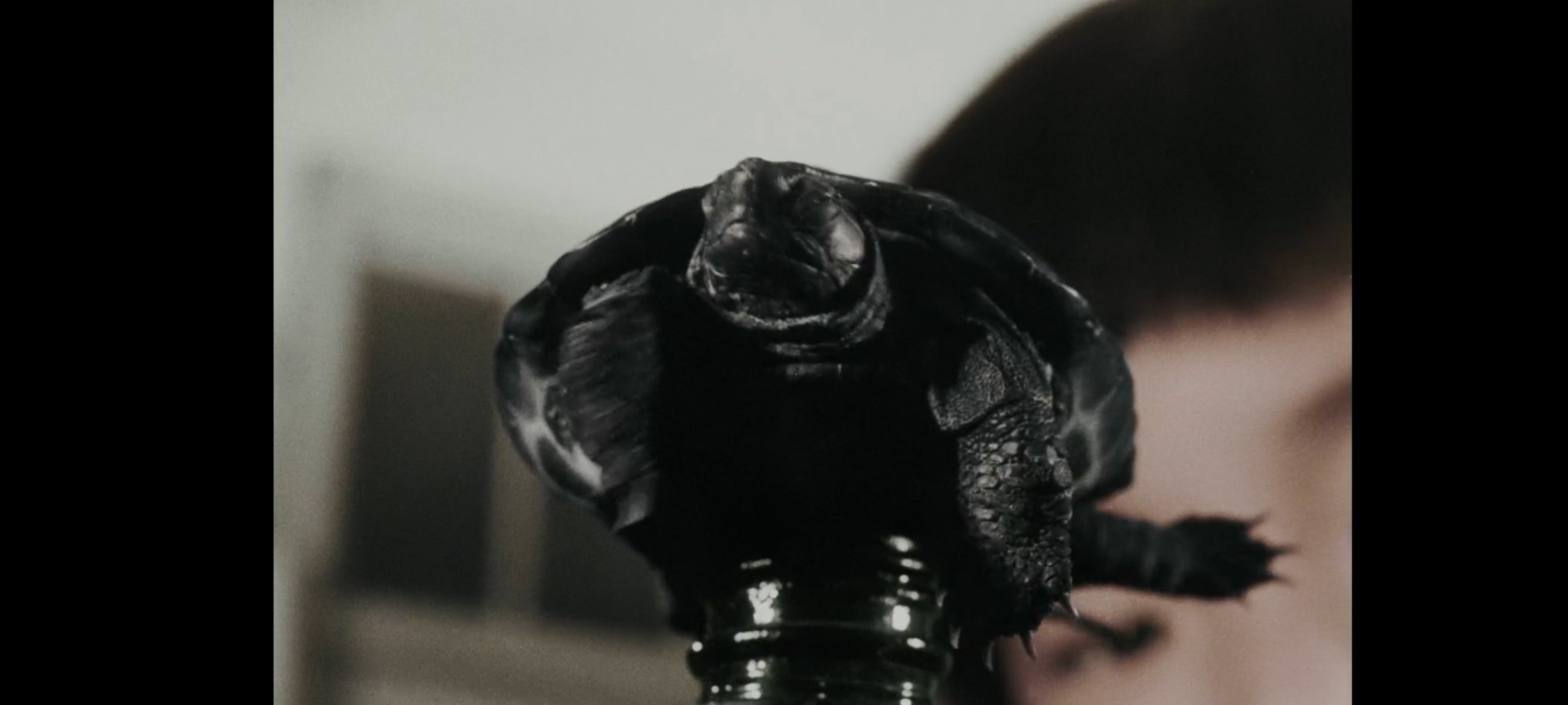 ウルトラQ第6話「育てよカメ！」｜らんまる