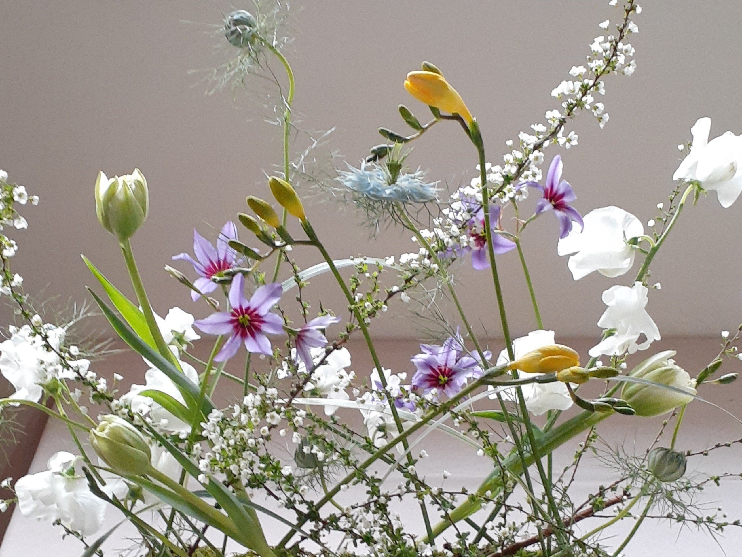 春の花の魅力｜Fleurs et Repos フルール・エ・ルポ
