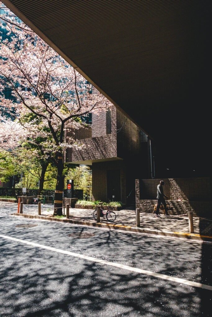 作例あり】XF14mmF2.8 R レビュー ダイナミックに豪快に|Nocchi 作例あり】XF14mmF2.8 R レビュー ダイナミックに豪快に|Nocchi
