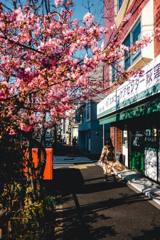 作例あり】XF16mmF1.4 R WR レビュー 最高峰の広角レンズ｜Nocchi(のっち)