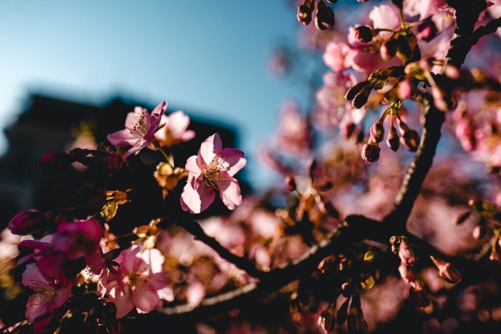 作例あり】XF16mmF1.4 R WR レビュー 最高峰の広角レンズ