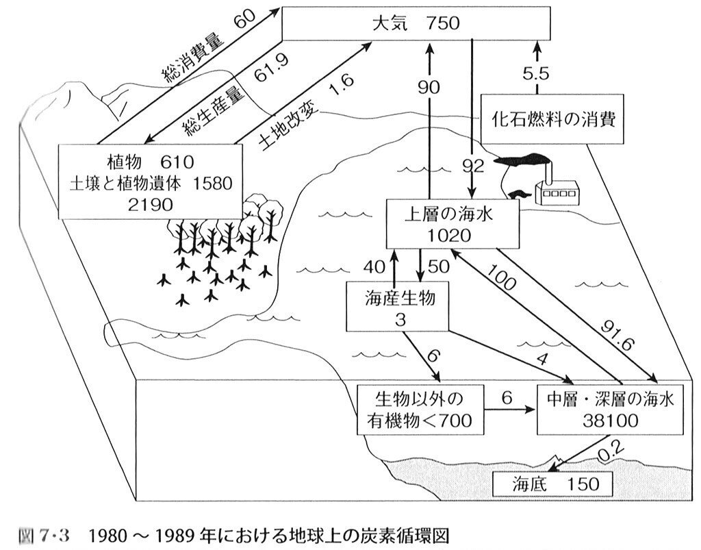 生命、循環とエントロピー 『エントロピーから読み解く生物学: めぐり