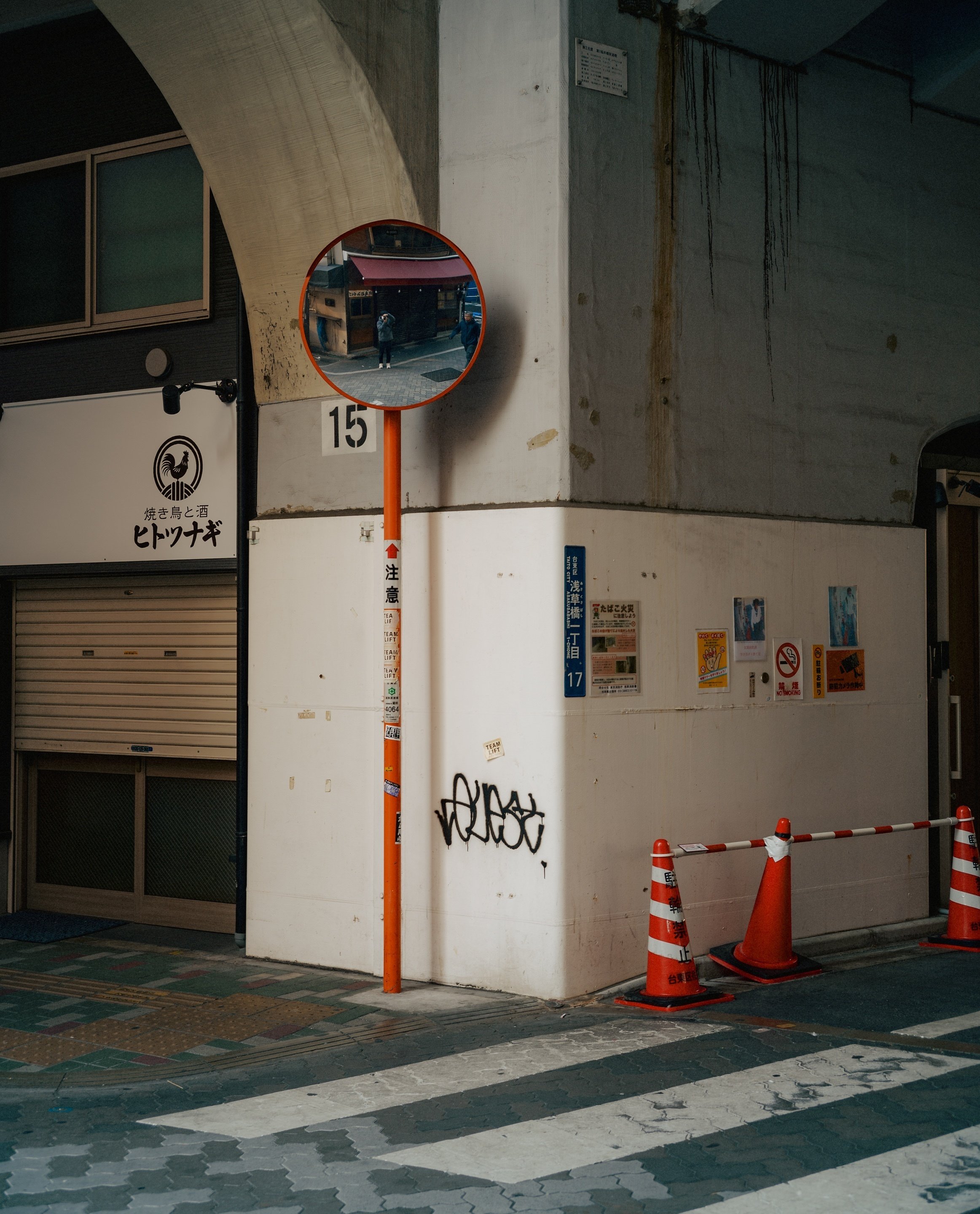 SIGMA fp】カラーモード